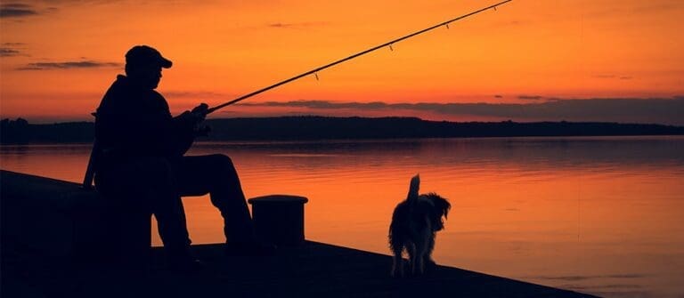 Best Dogs for Spring Activities