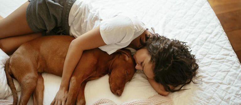 Let Sleeping Dogs Lie