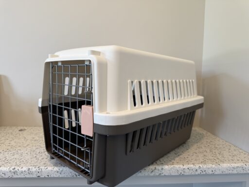 Travel Carrier