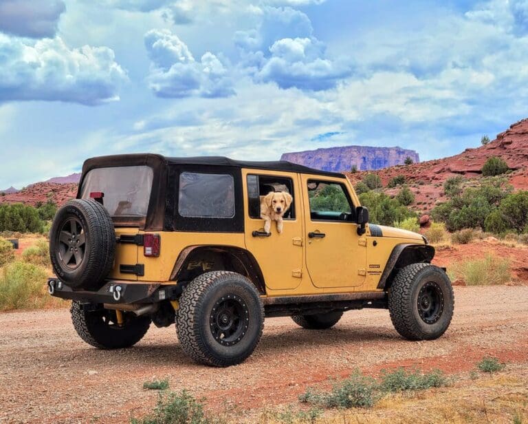 Tips For Taking Your Dog on Vacation