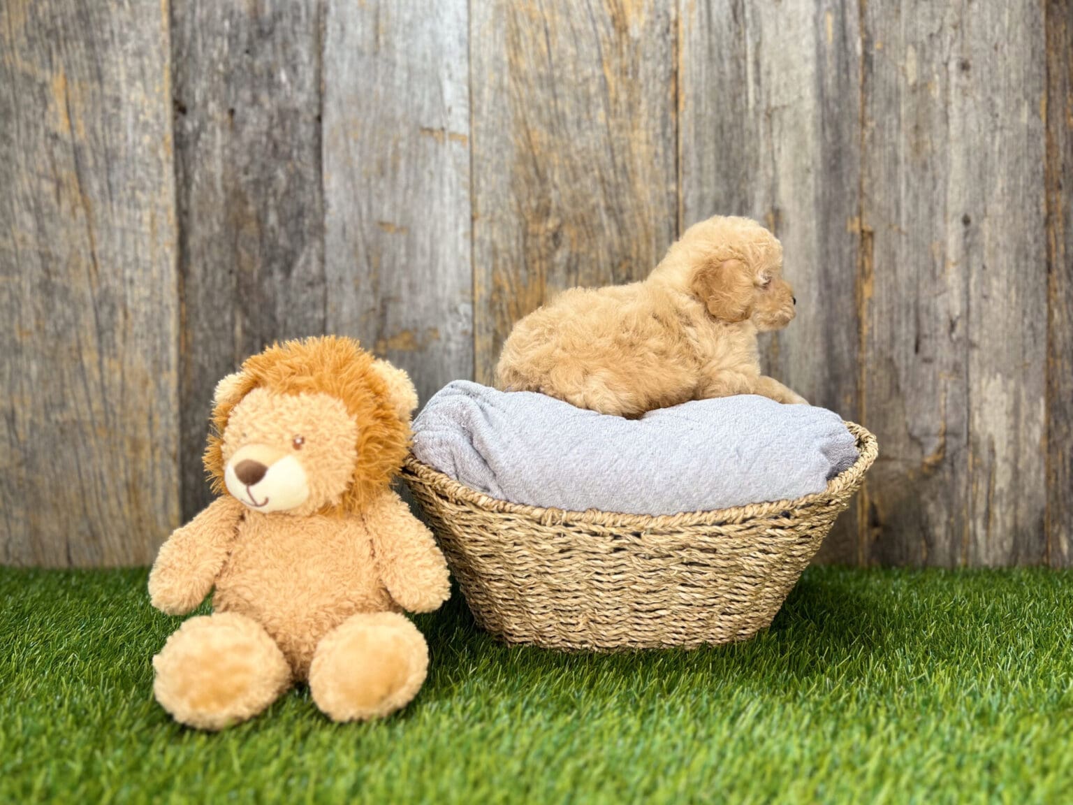 Image #3