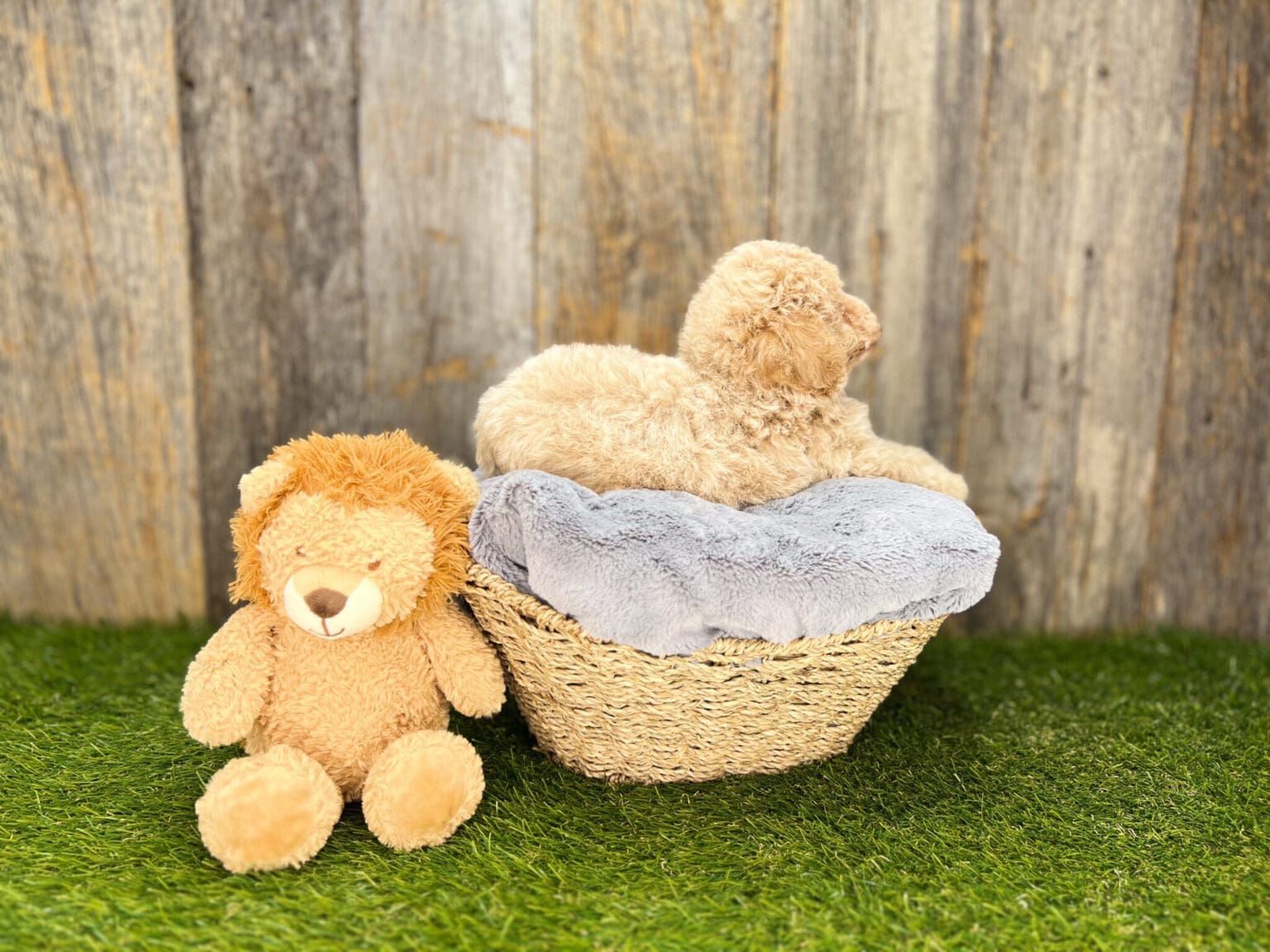 Image #3