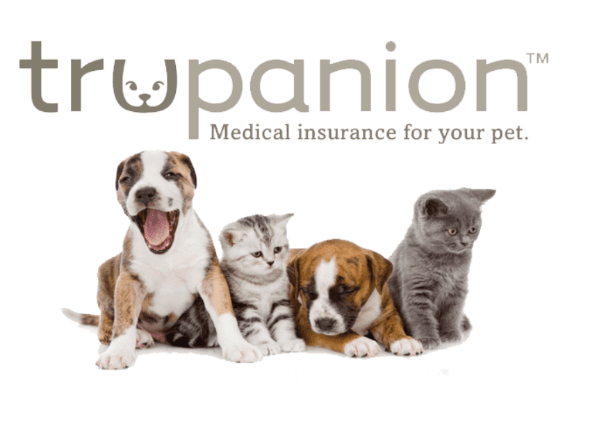 Trupanion Insurance 30 Days Free