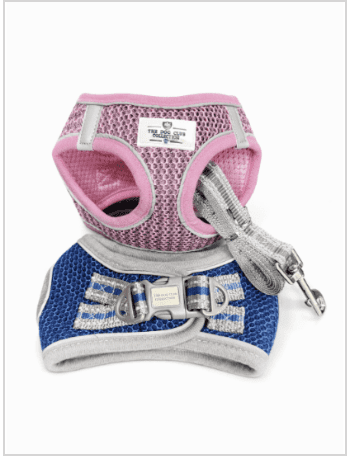 Harness & Leash Package