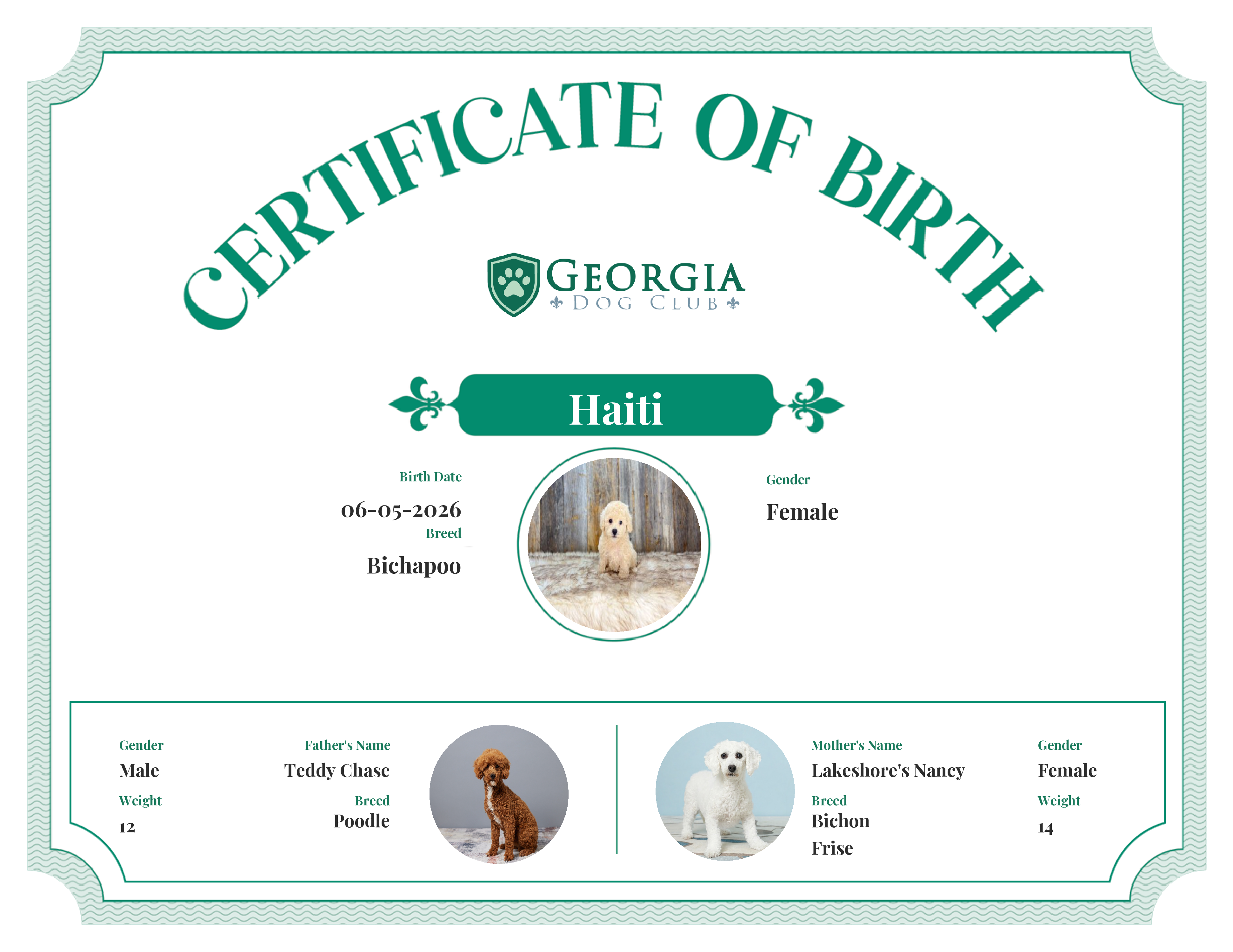 Haiti's Birth Certificate