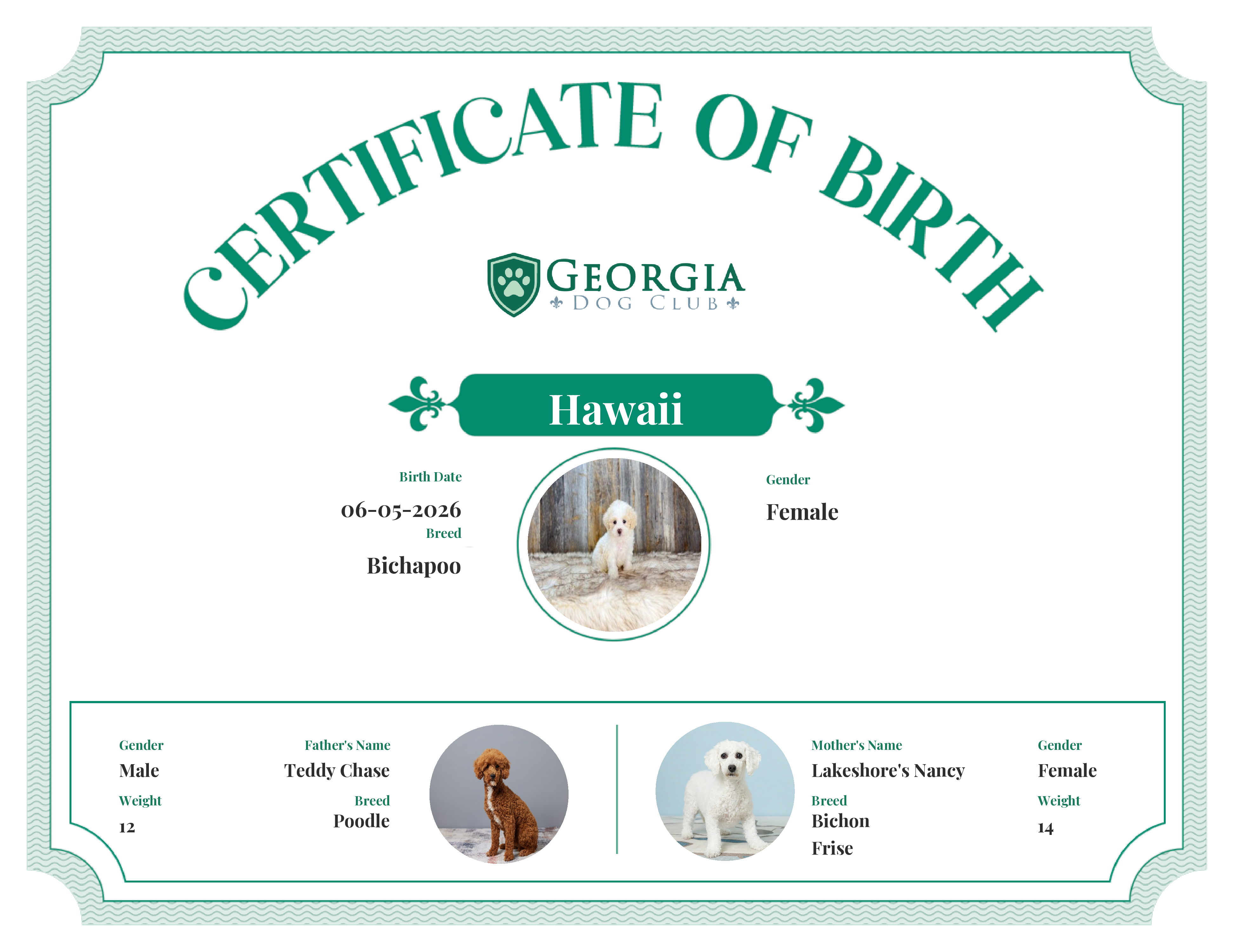 Hawaii's Birth Certificate