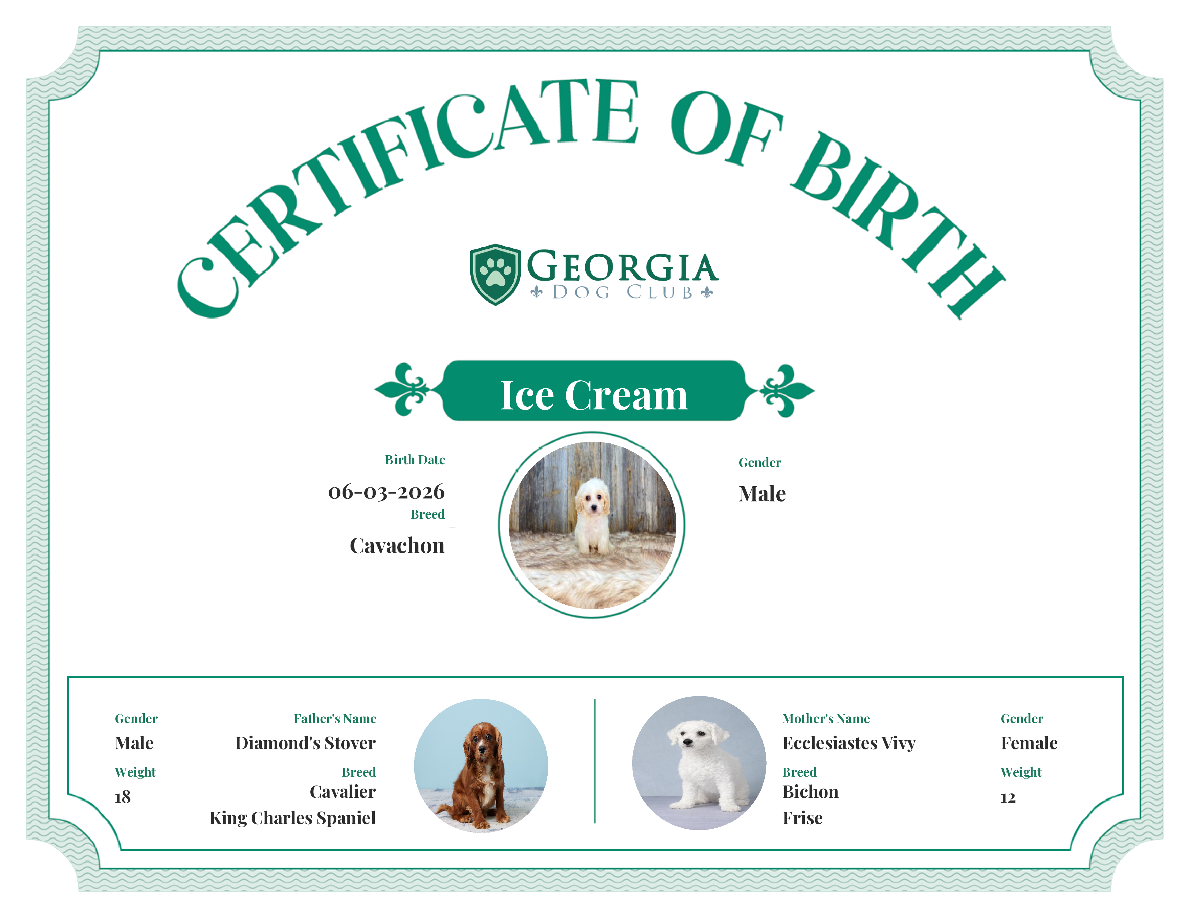 Ice Cream's Birth Certificate