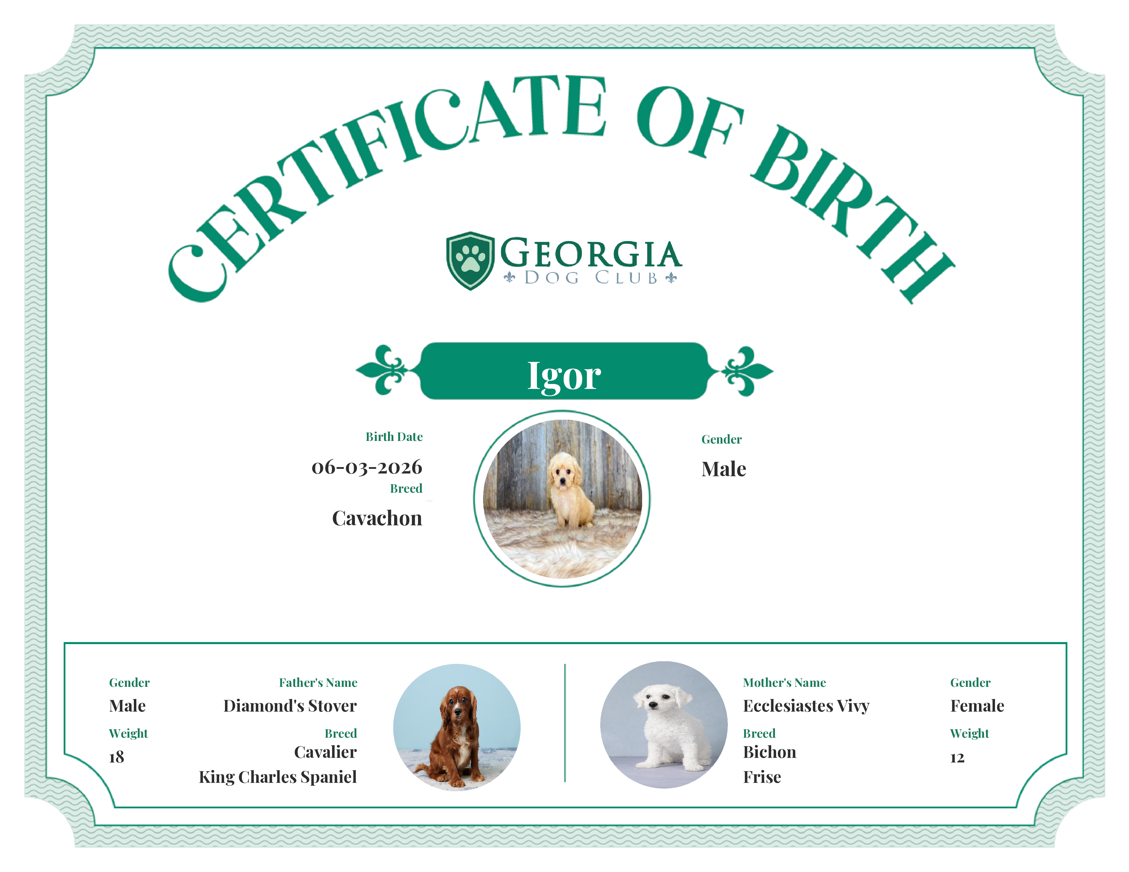 Igor's Birth Certificate