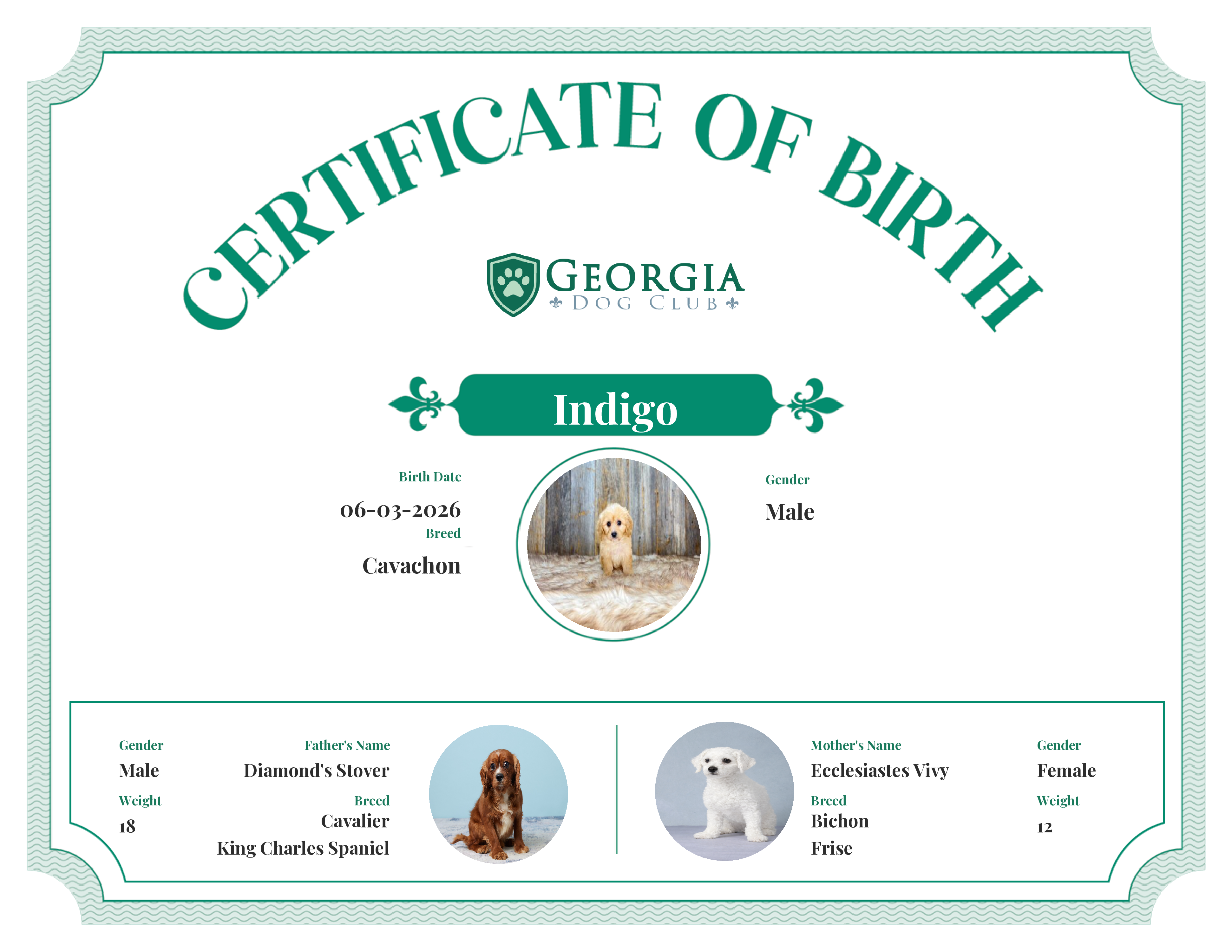 Indigo's Birth Certificate