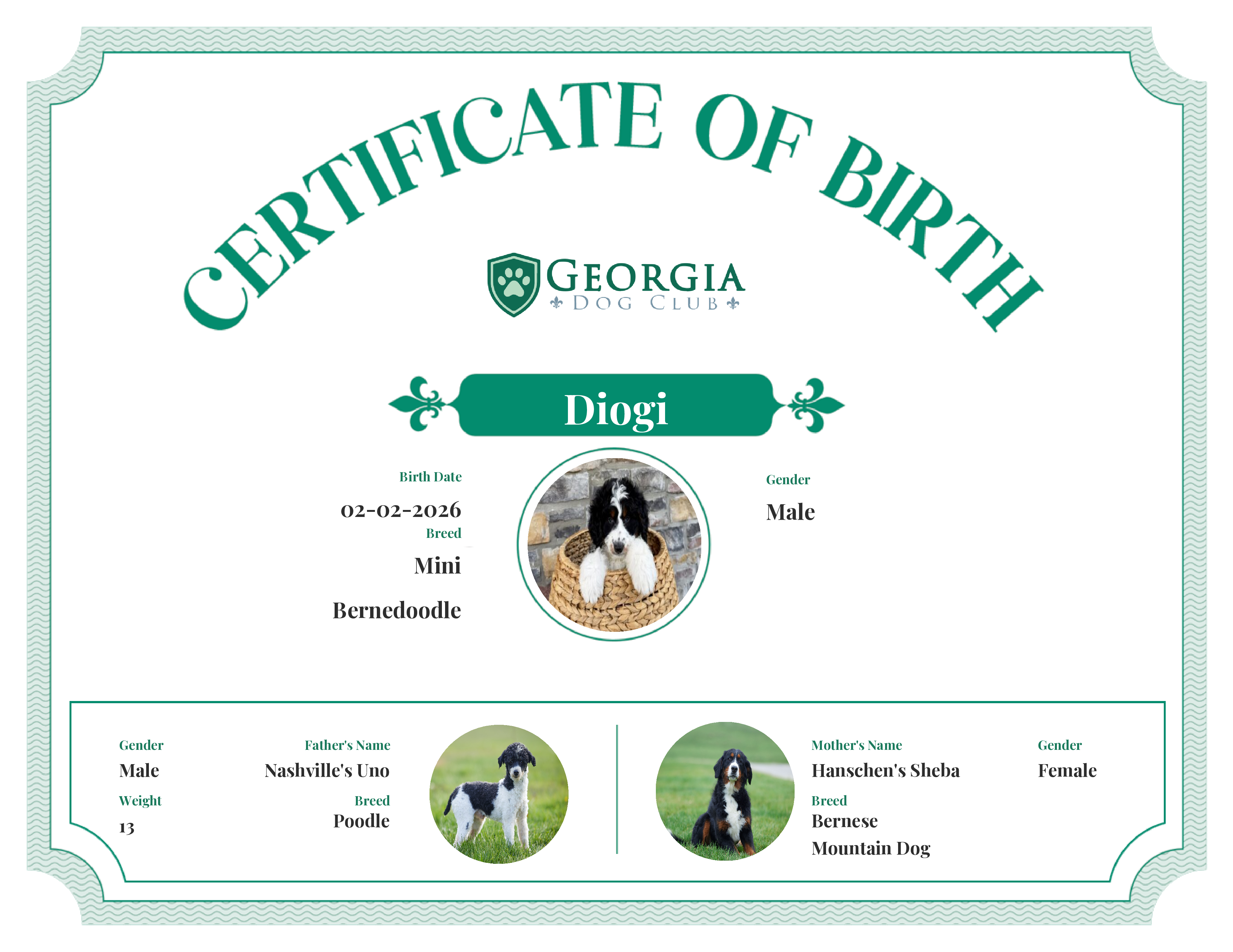 Diogi's Birth Certificate