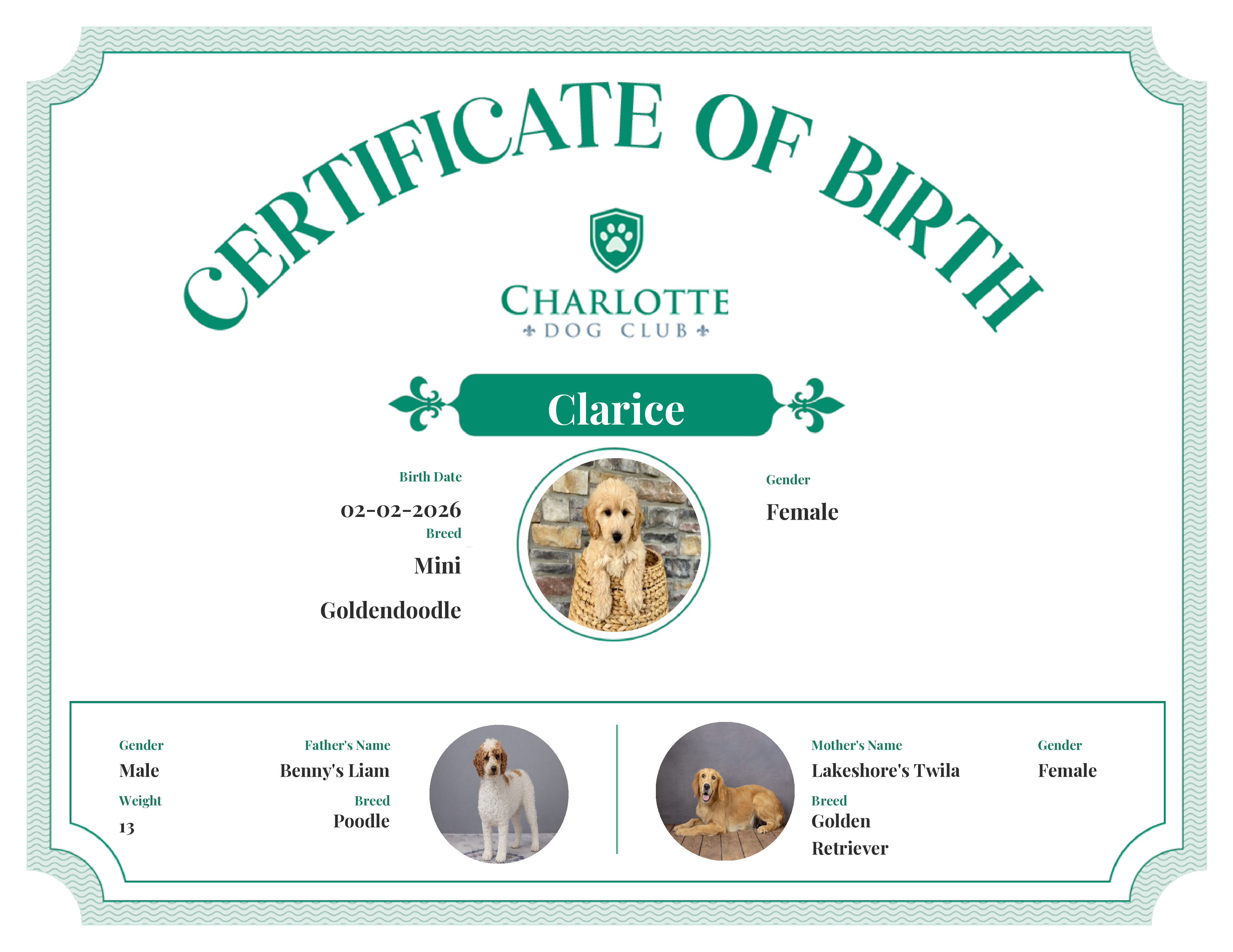 Clarice's Birth Certificate