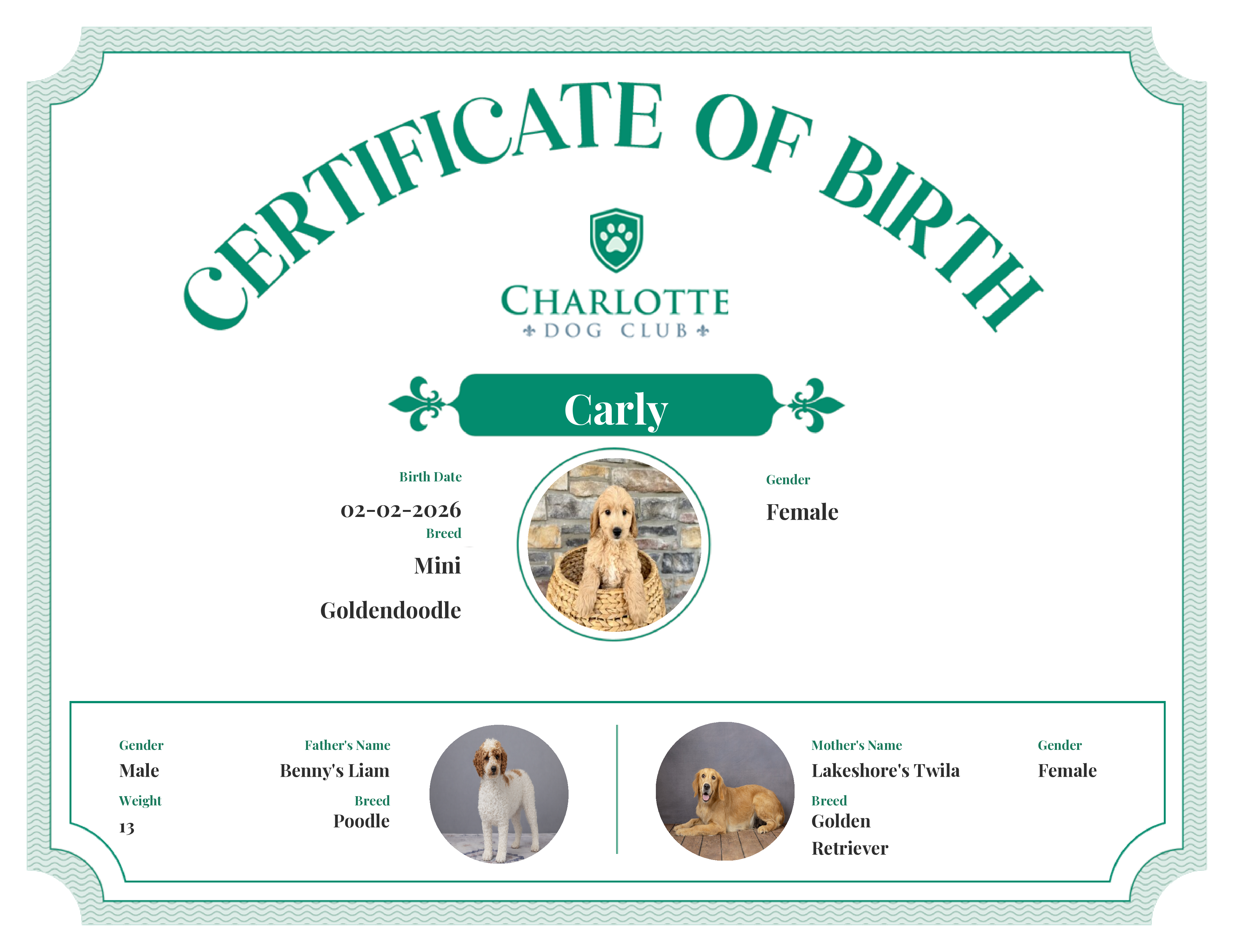 Carly's Birth Certificate