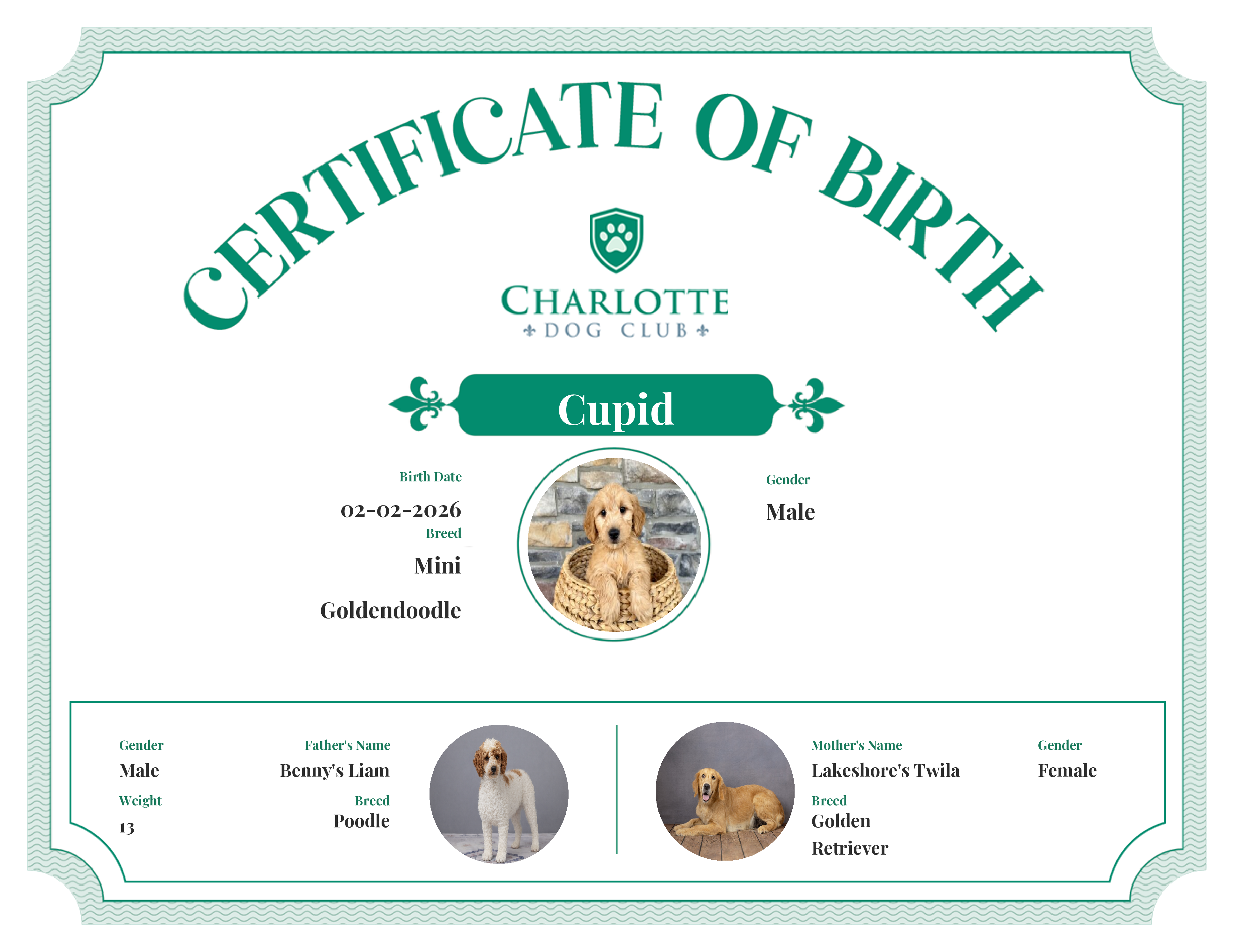 Cupid's Birth Certificate