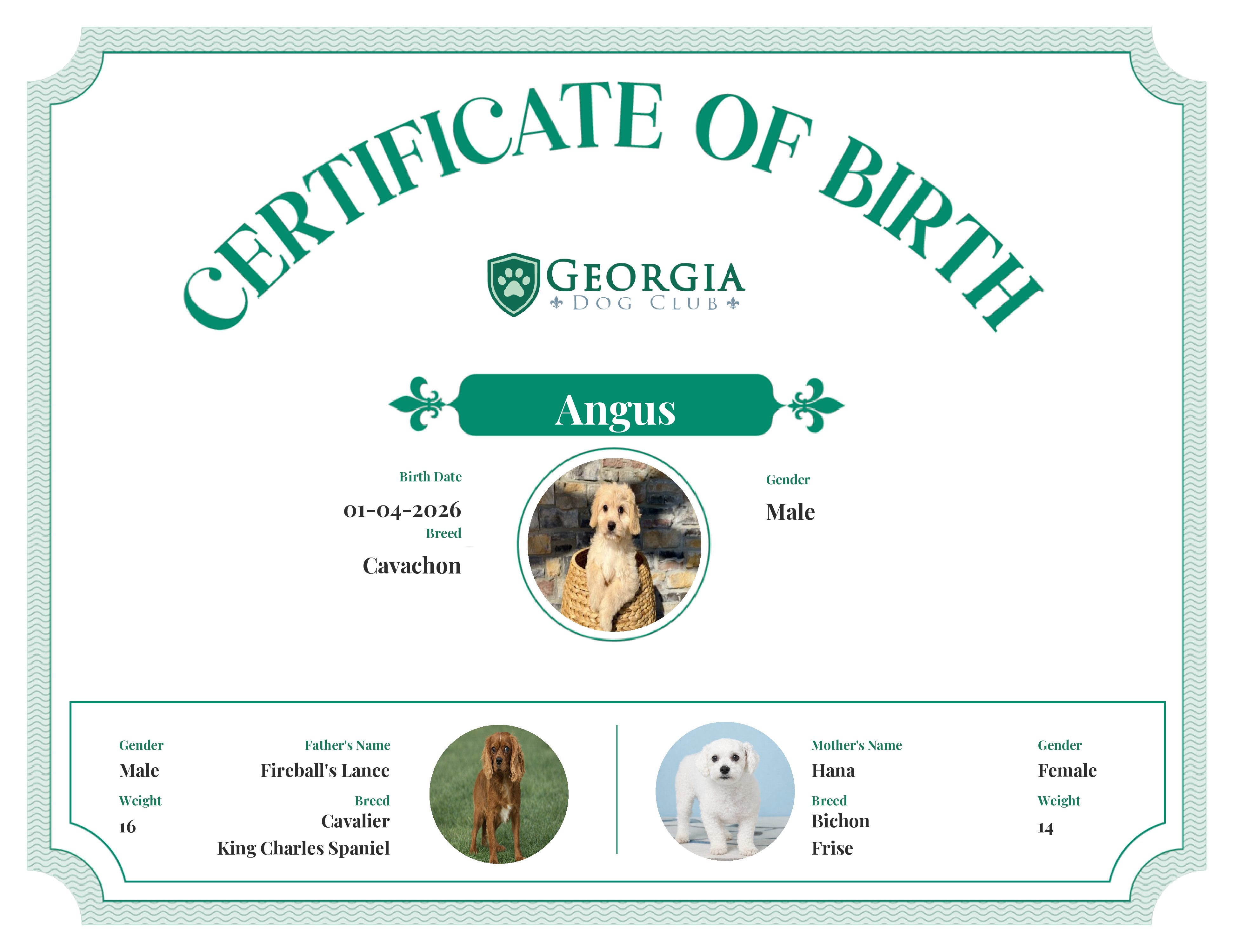 Angus's Birth Certificate