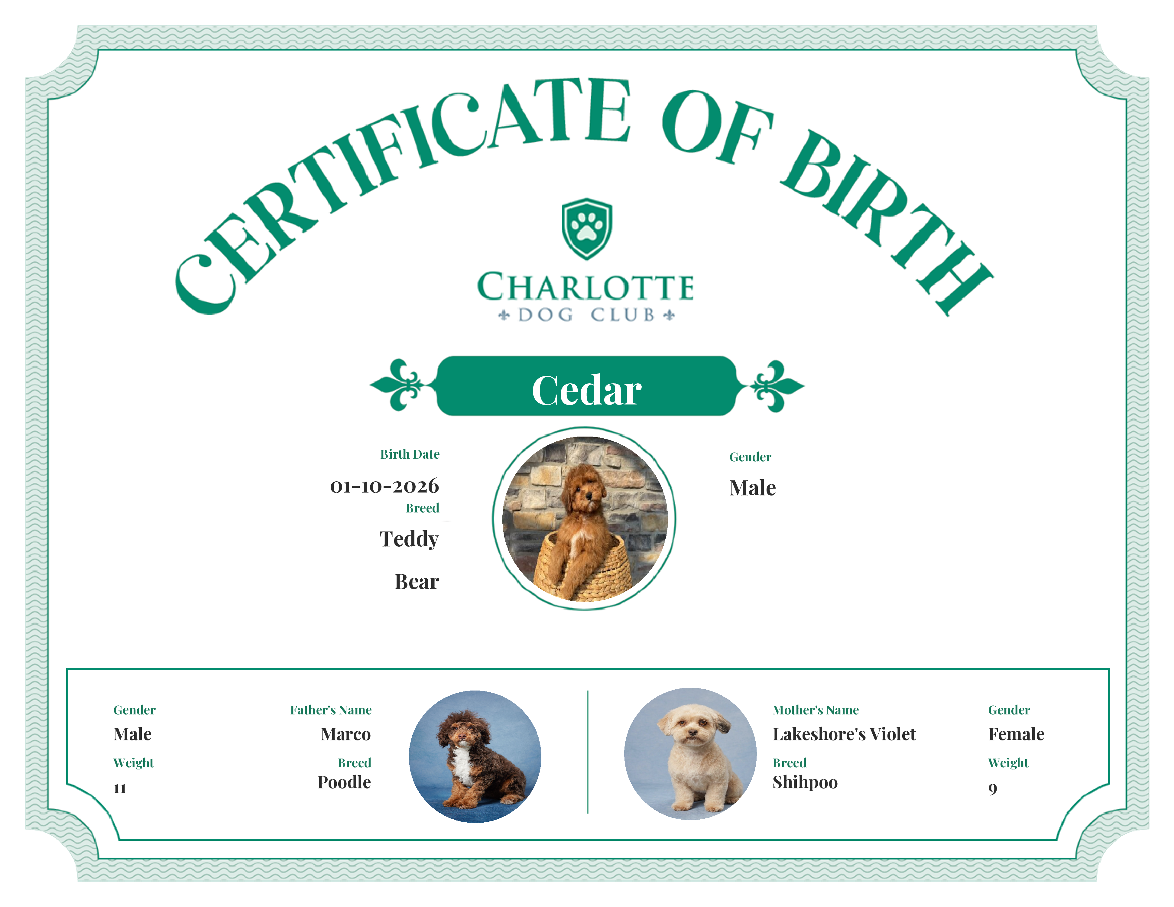 Cedar's Birth Certificate