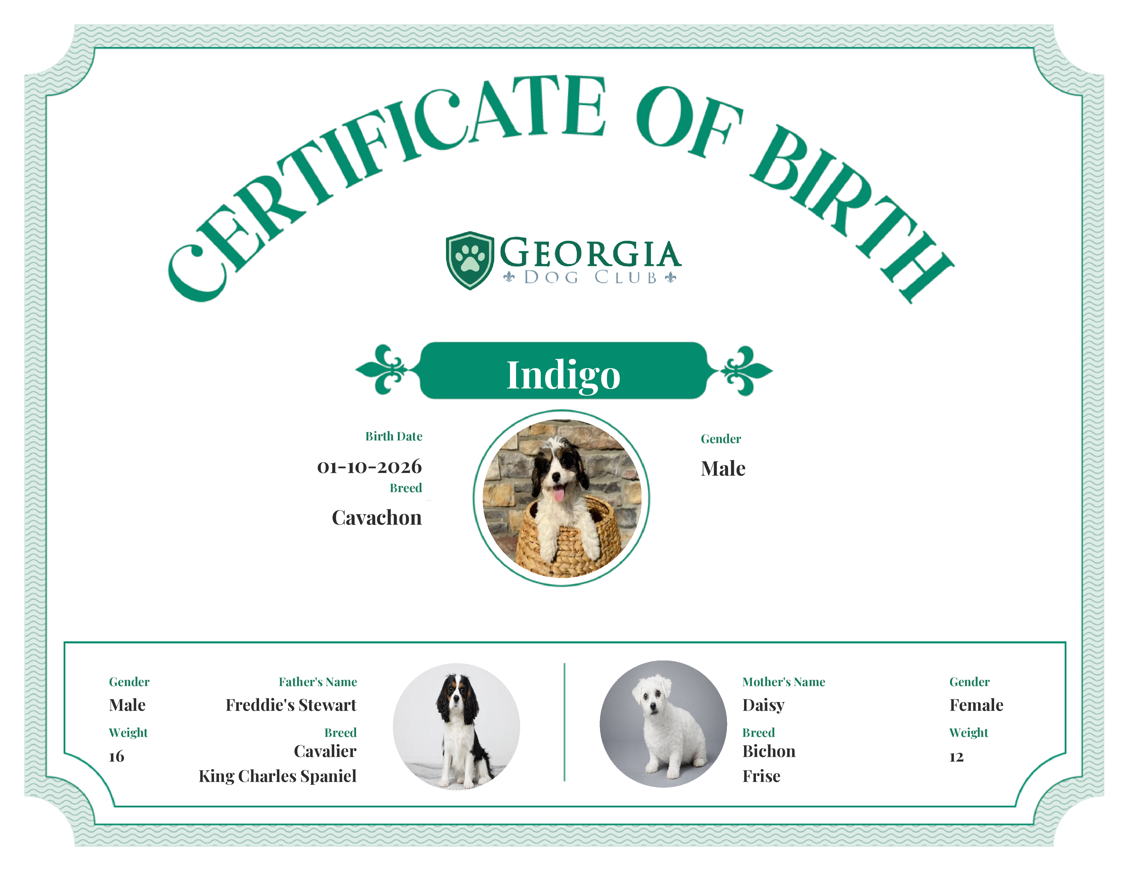 Indigo's Birth Certificate
