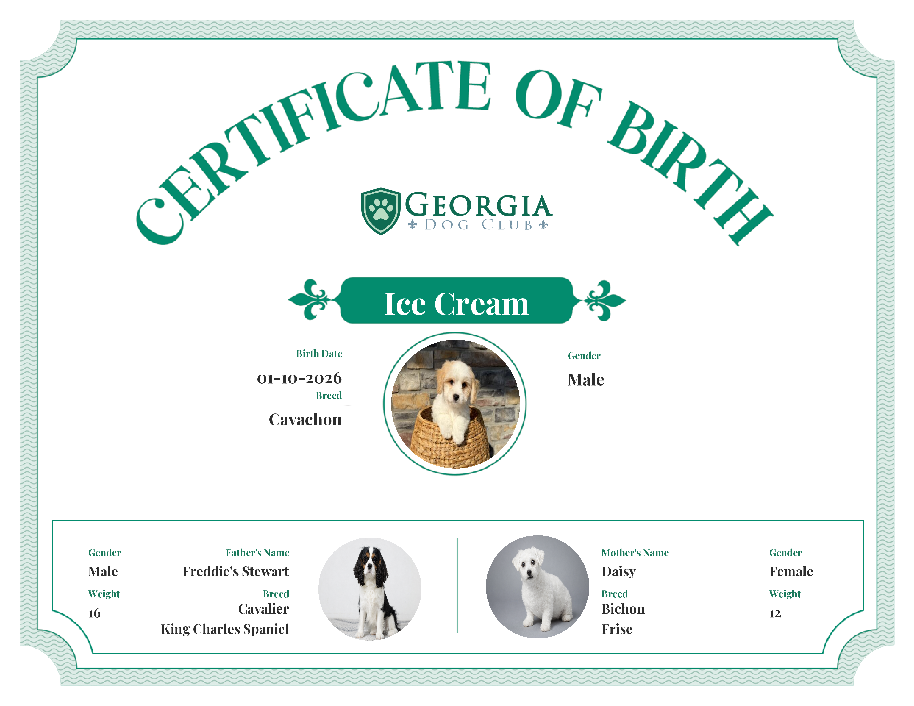 Ice Cream's Birth Certificate