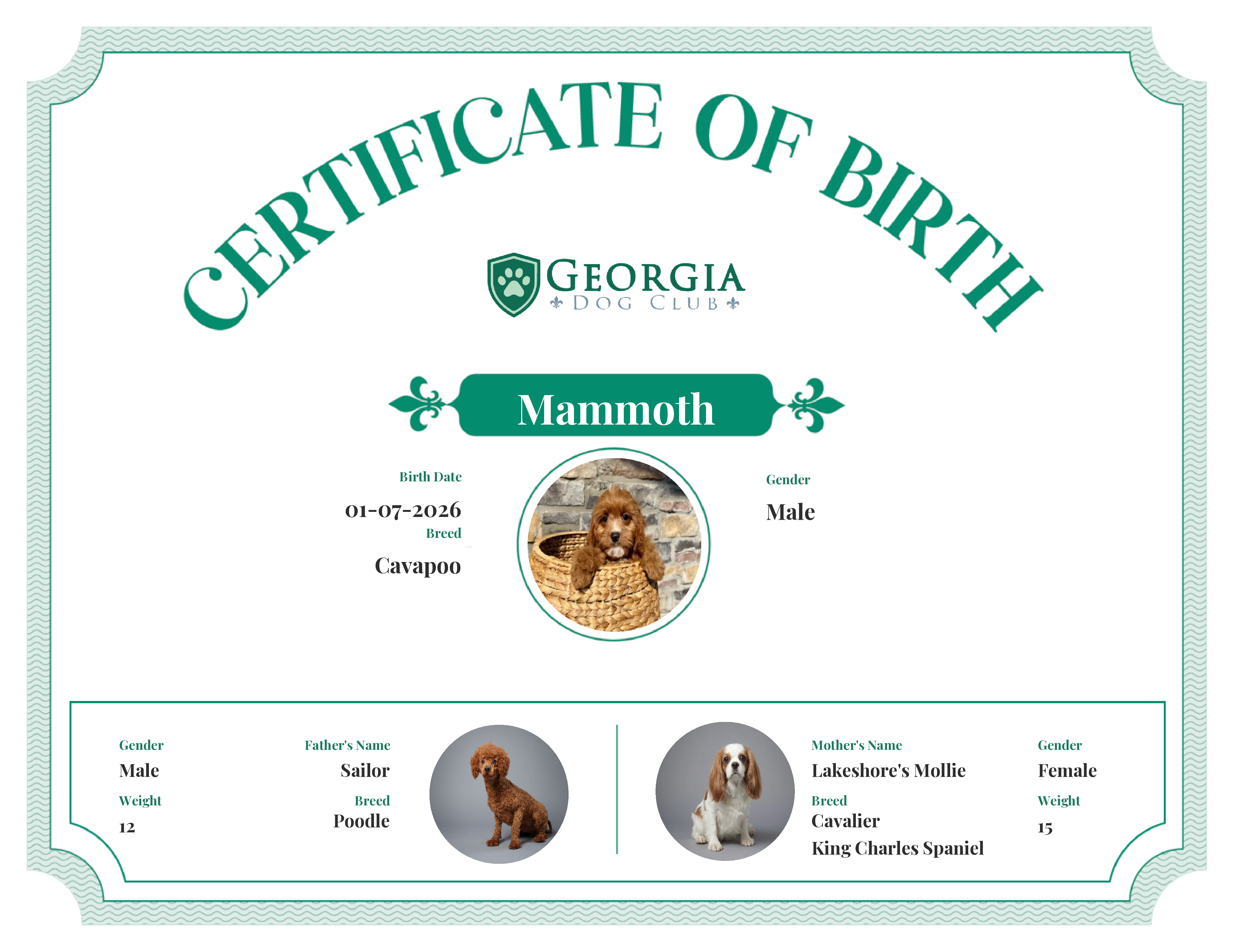 Mammoth's Birth Certificate