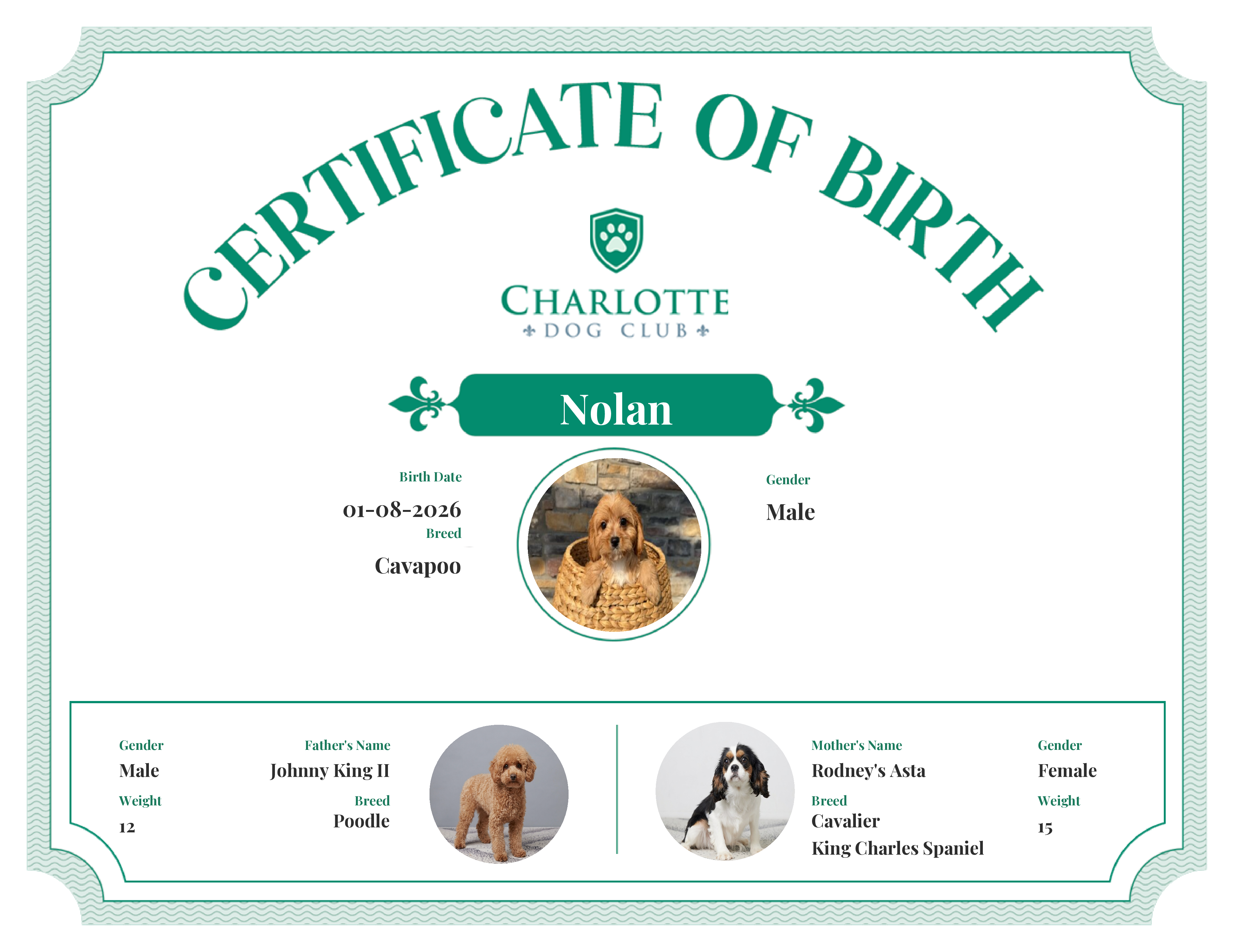 Nolan's Birth Certificate