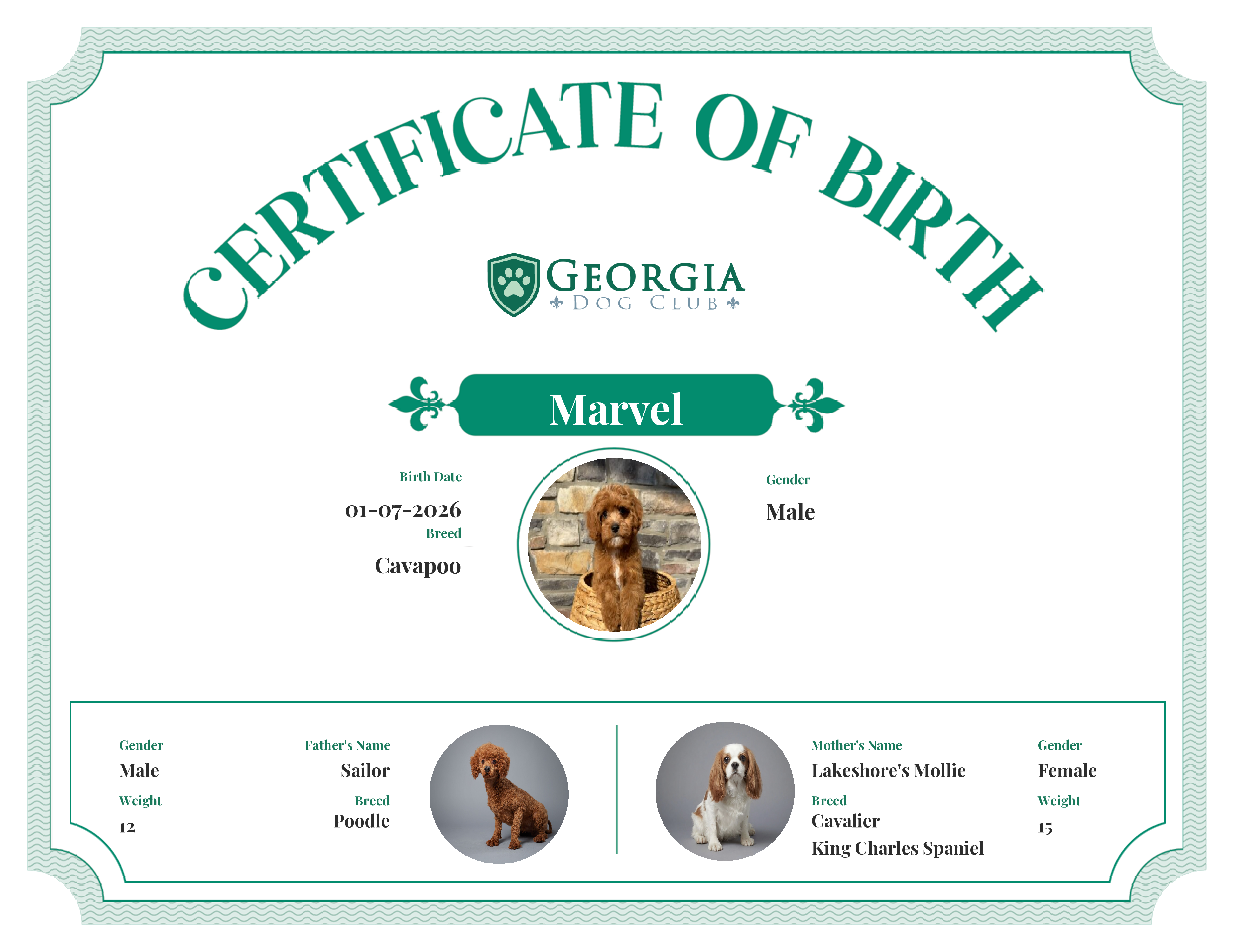 Marvel's Birth Certificate