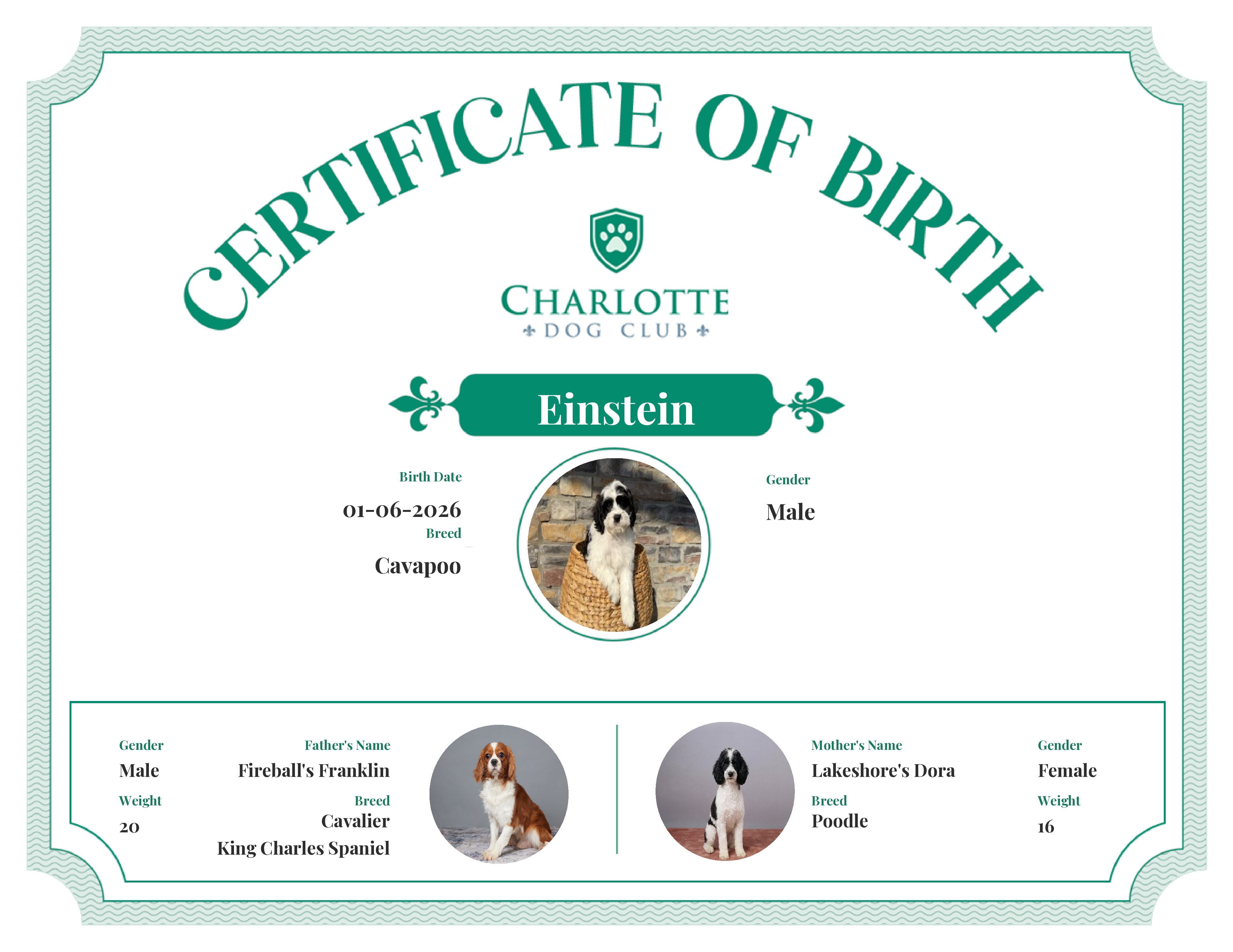 Einstein's Birth Certificate