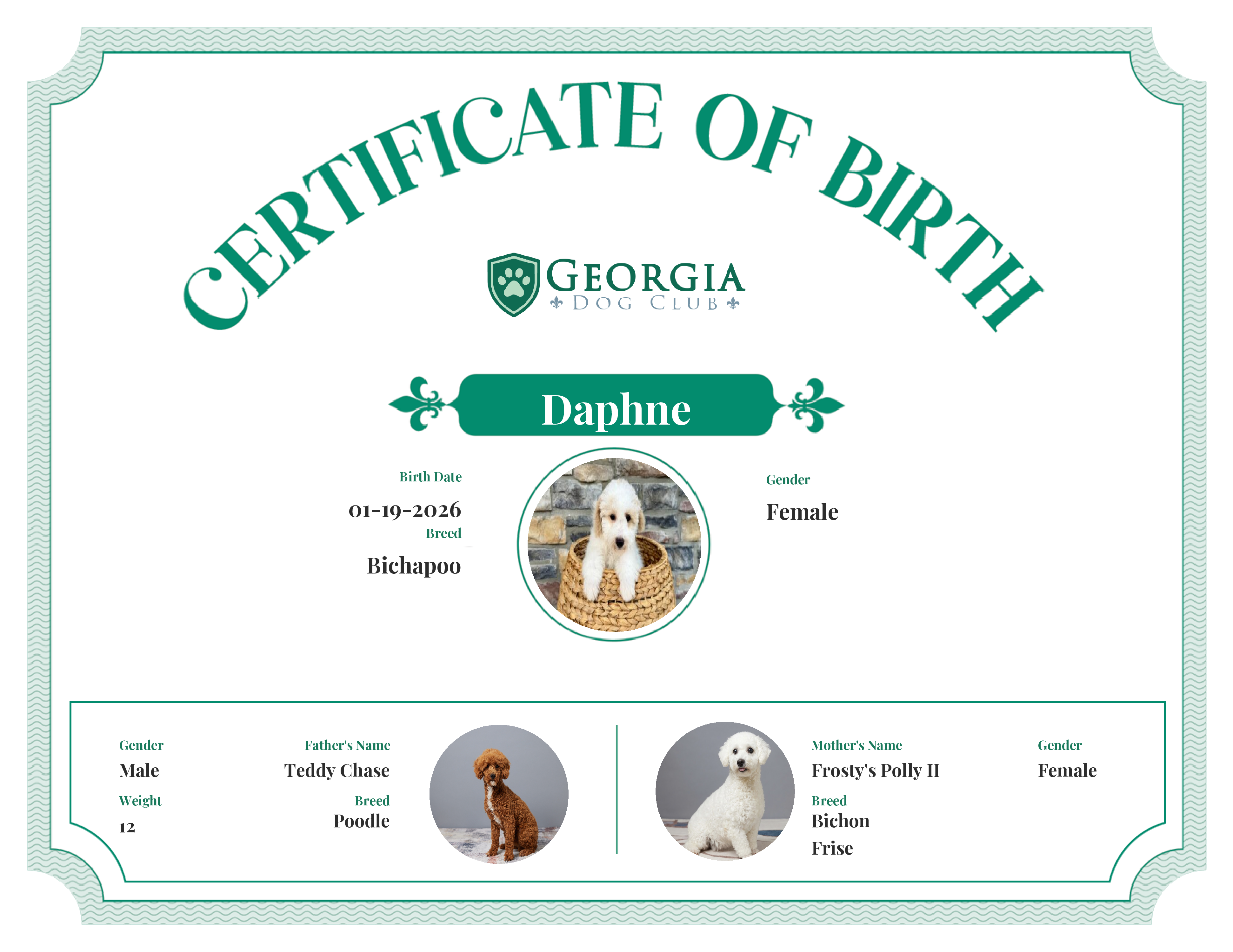Daphne's Birth Certificate