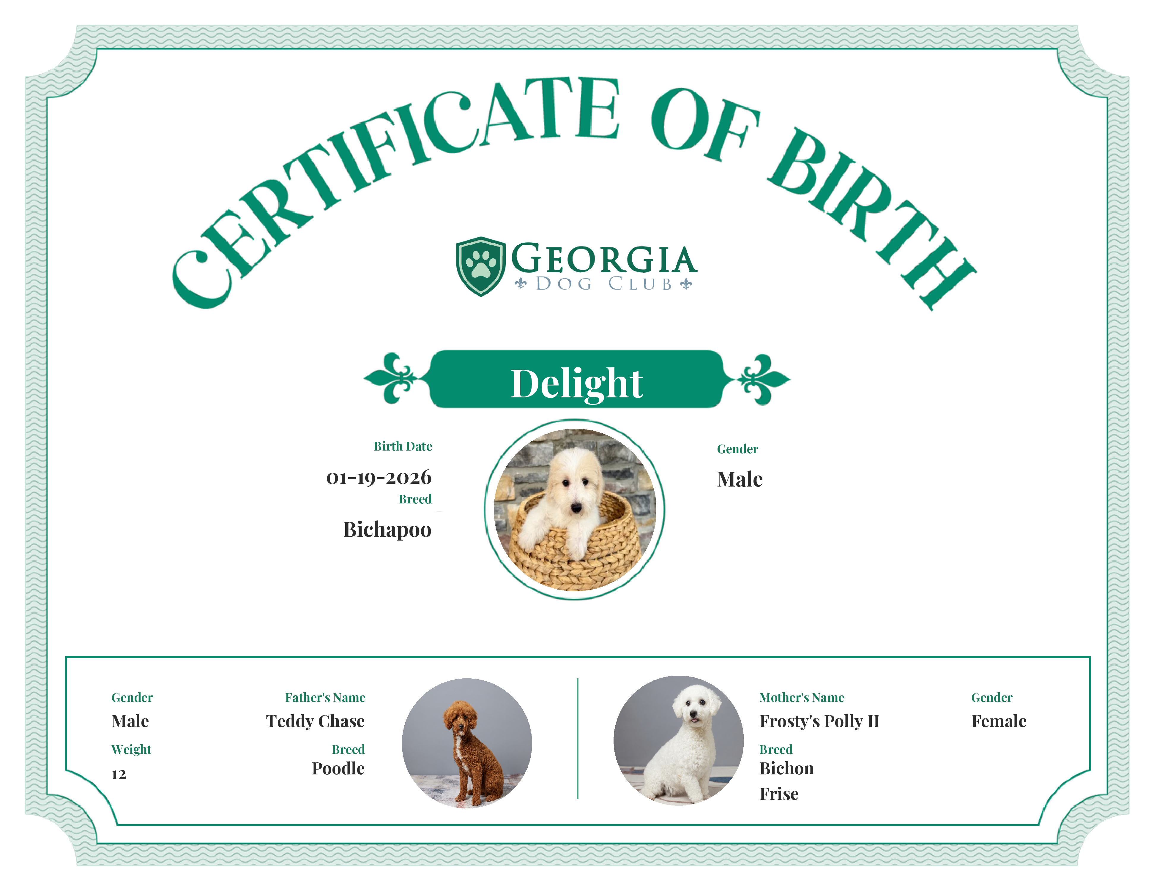 Delight's Birth Certificate