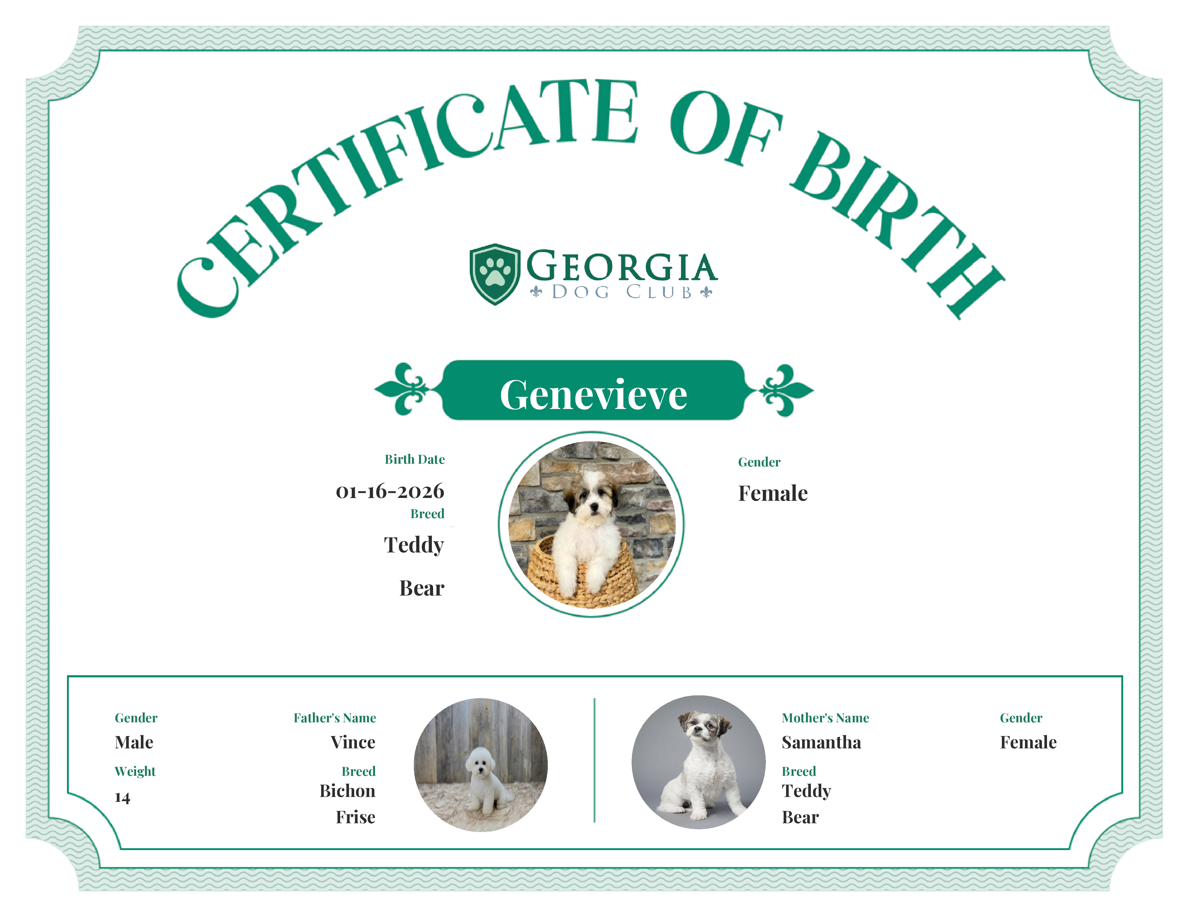 Genevieve's Birth Certificate