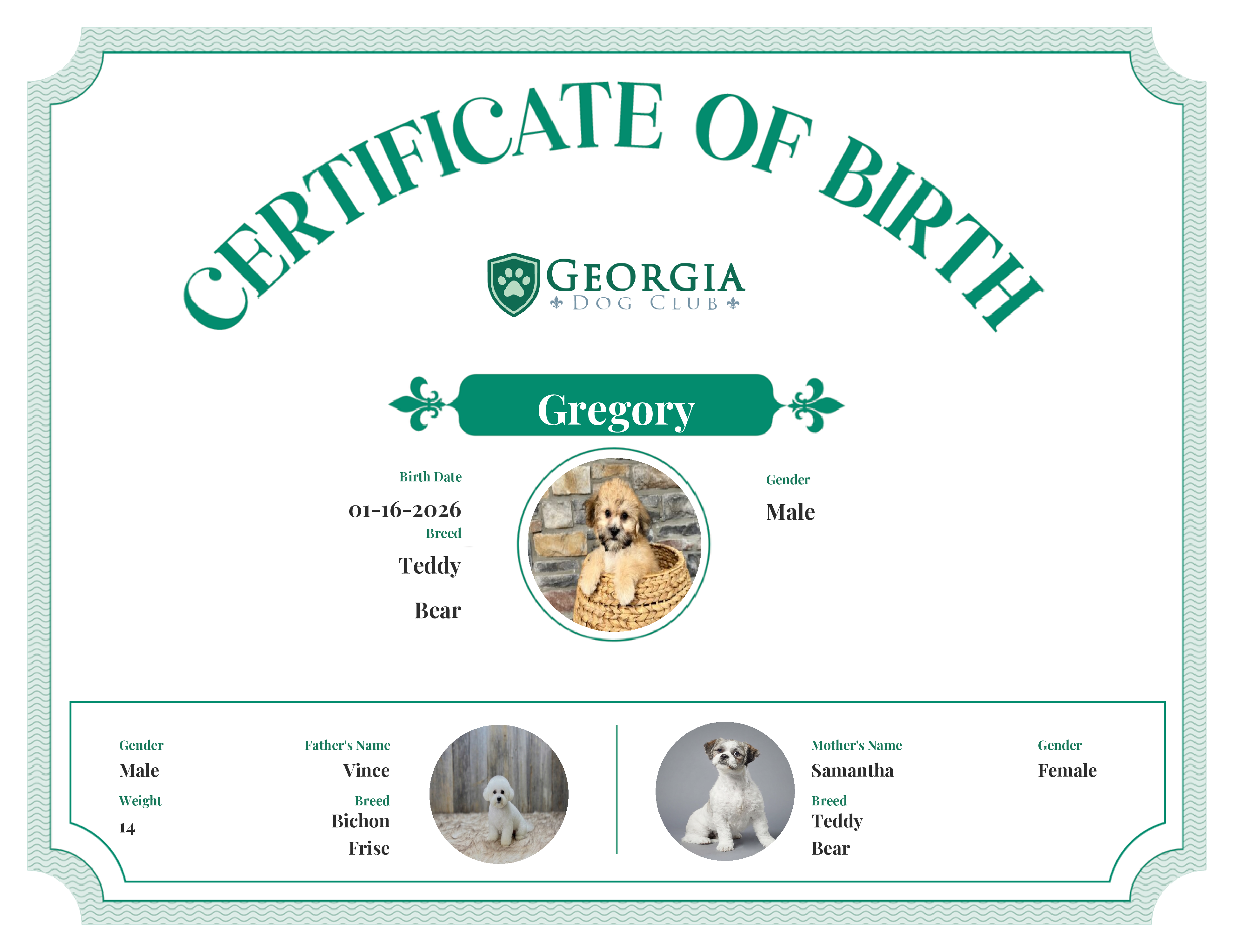 Gregory's Birth Certificate