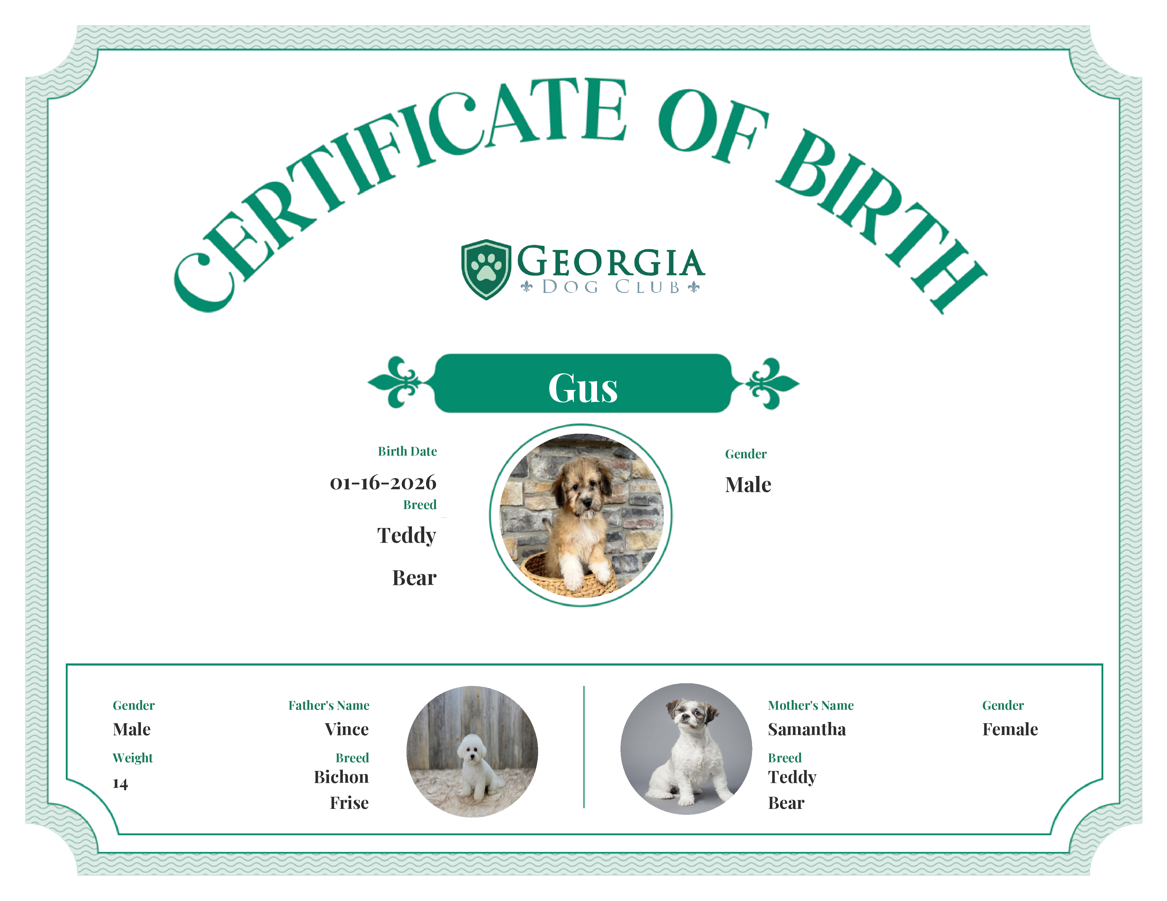 Gus's Birth Certificate