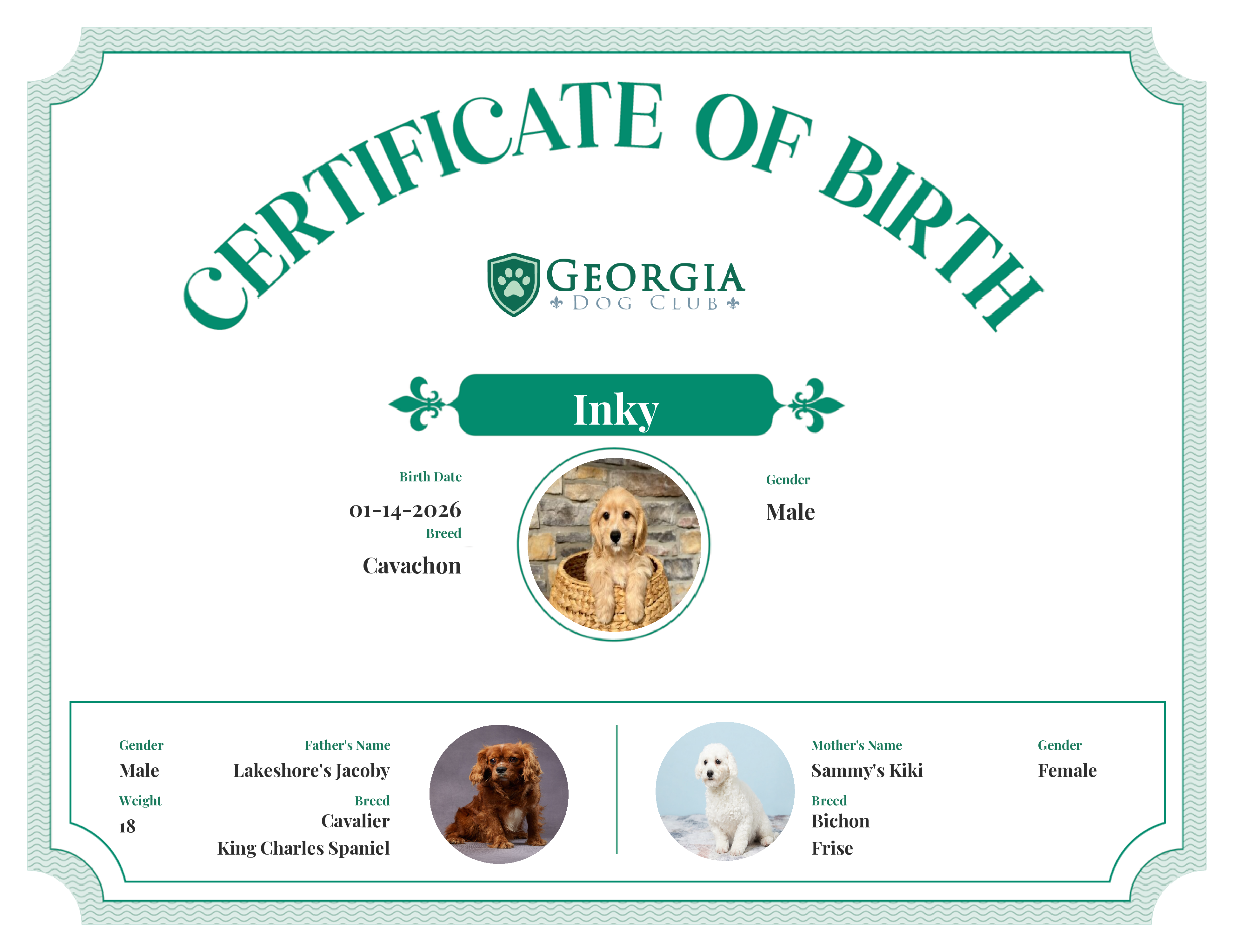 Inky's Birth Certificate