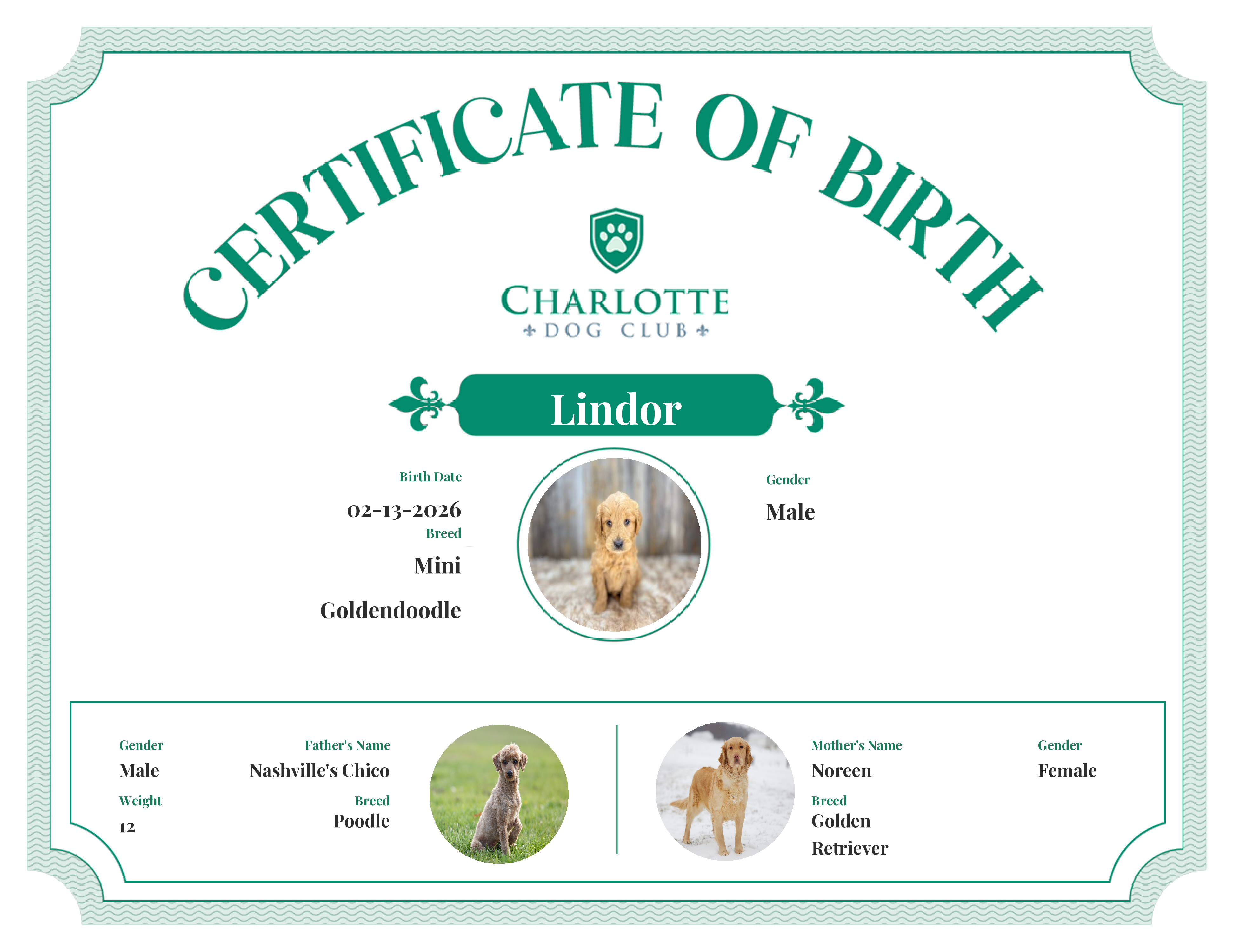 Lindor's Birth Certificate