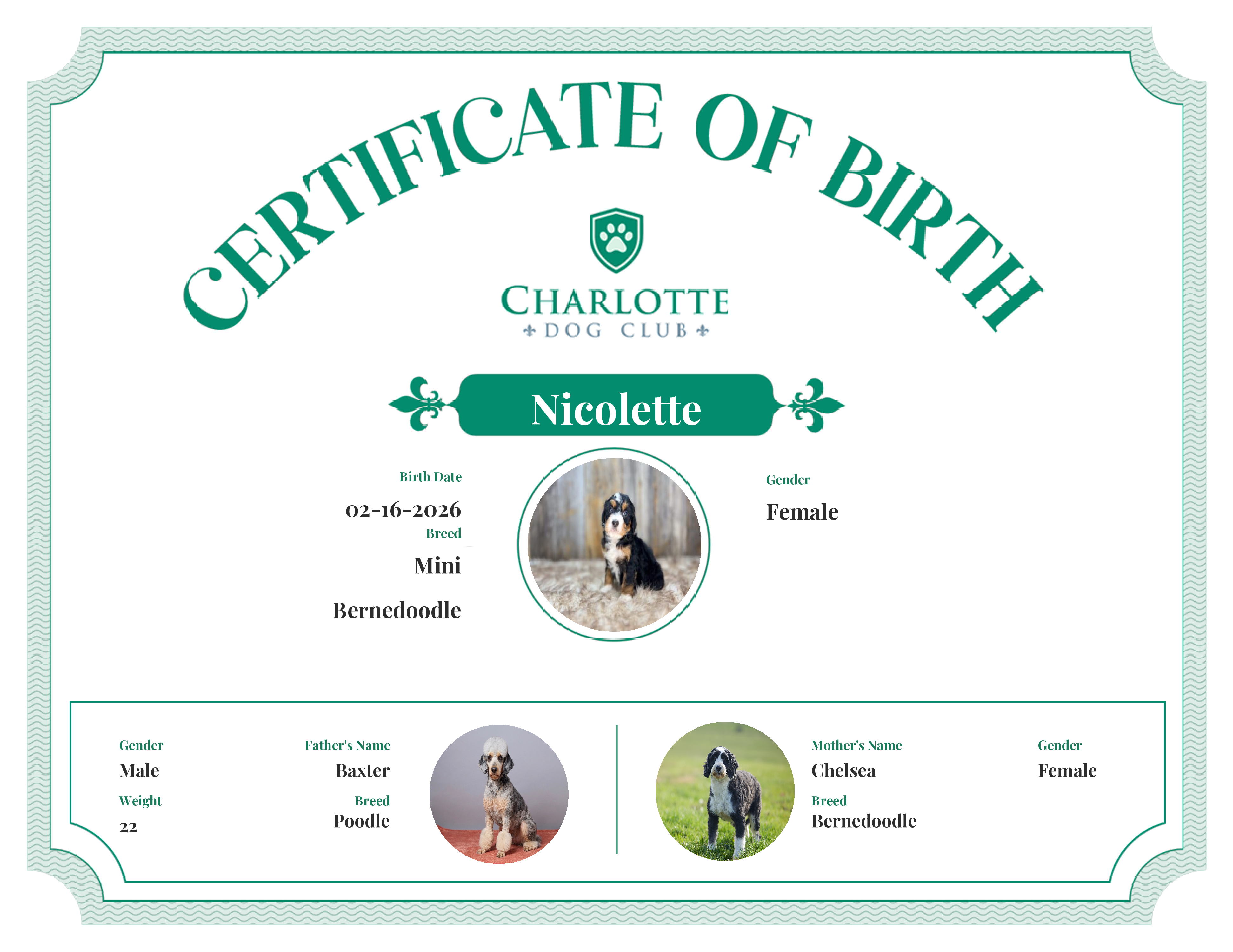 Nicolette's Birth Certificate