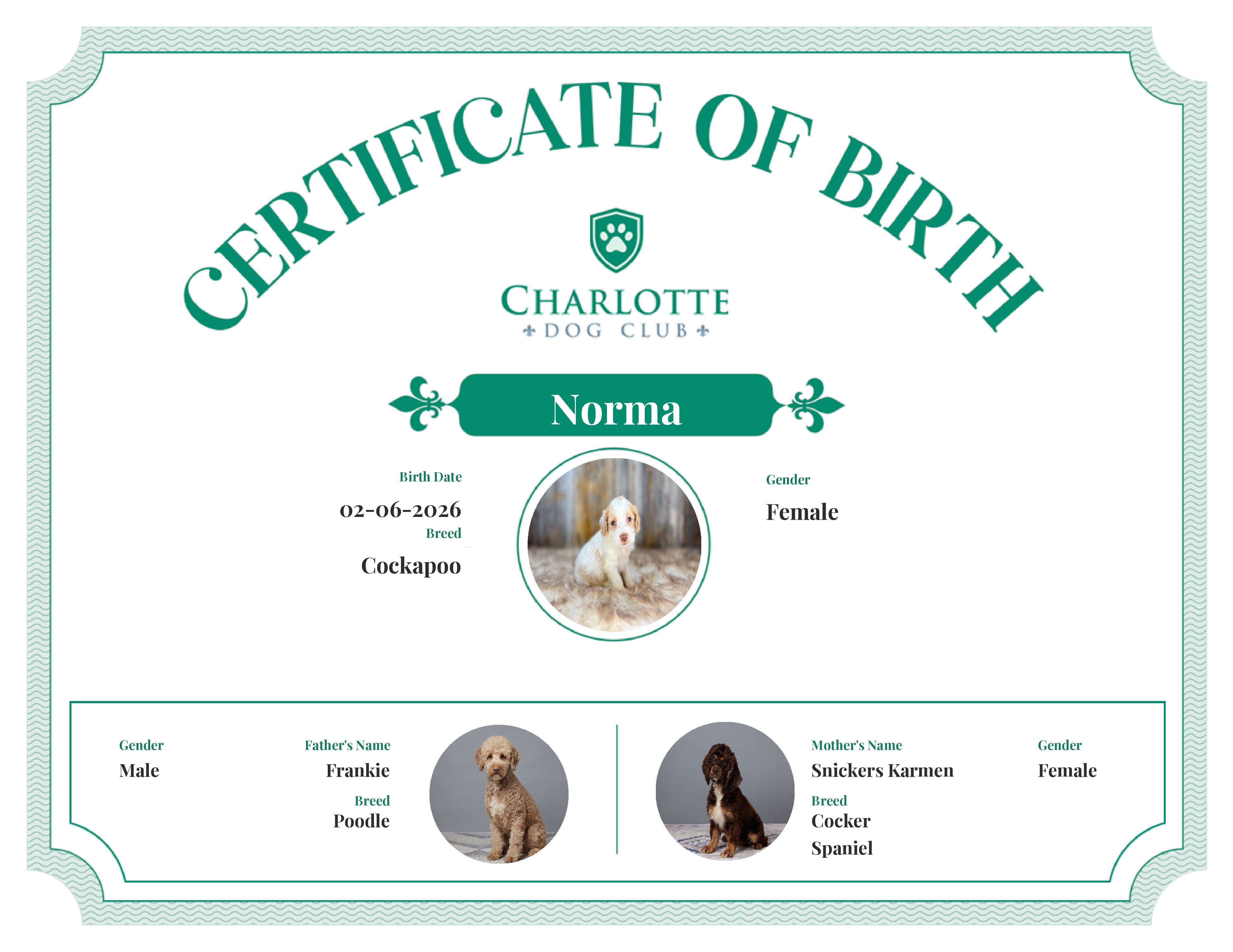 Norma's Birth Certificate