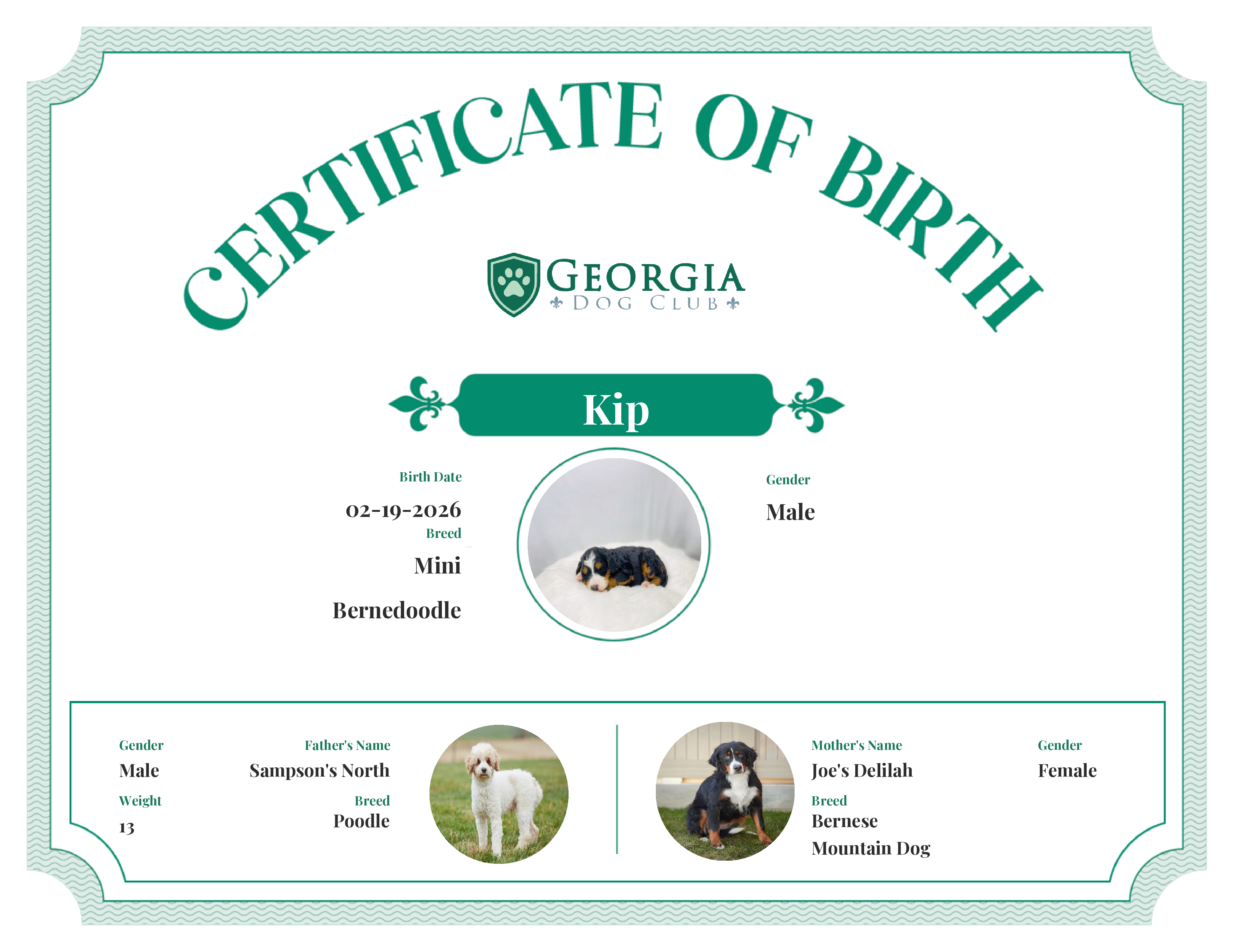 Kip's Birth Certificate