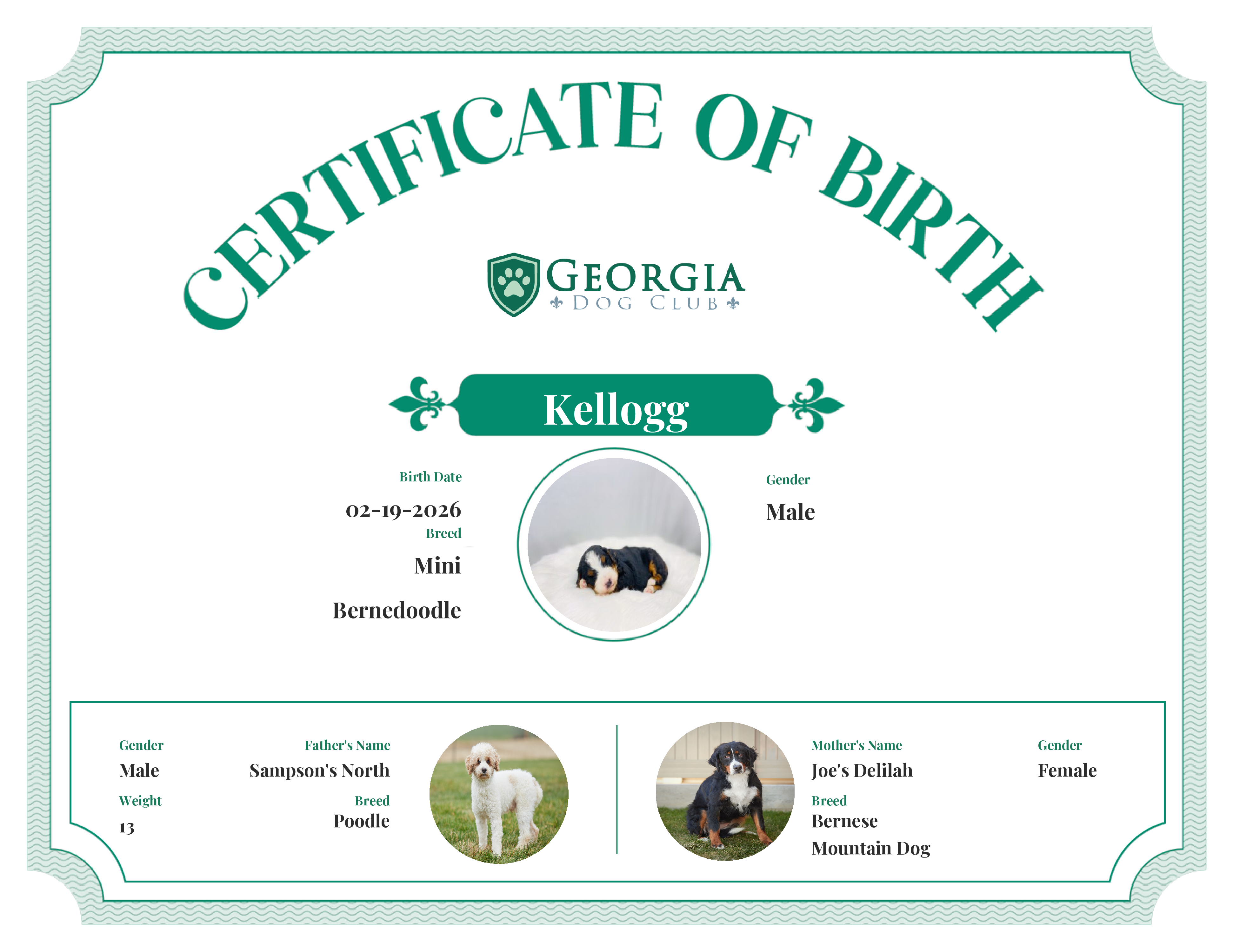 Kellogg's Birth Certificate