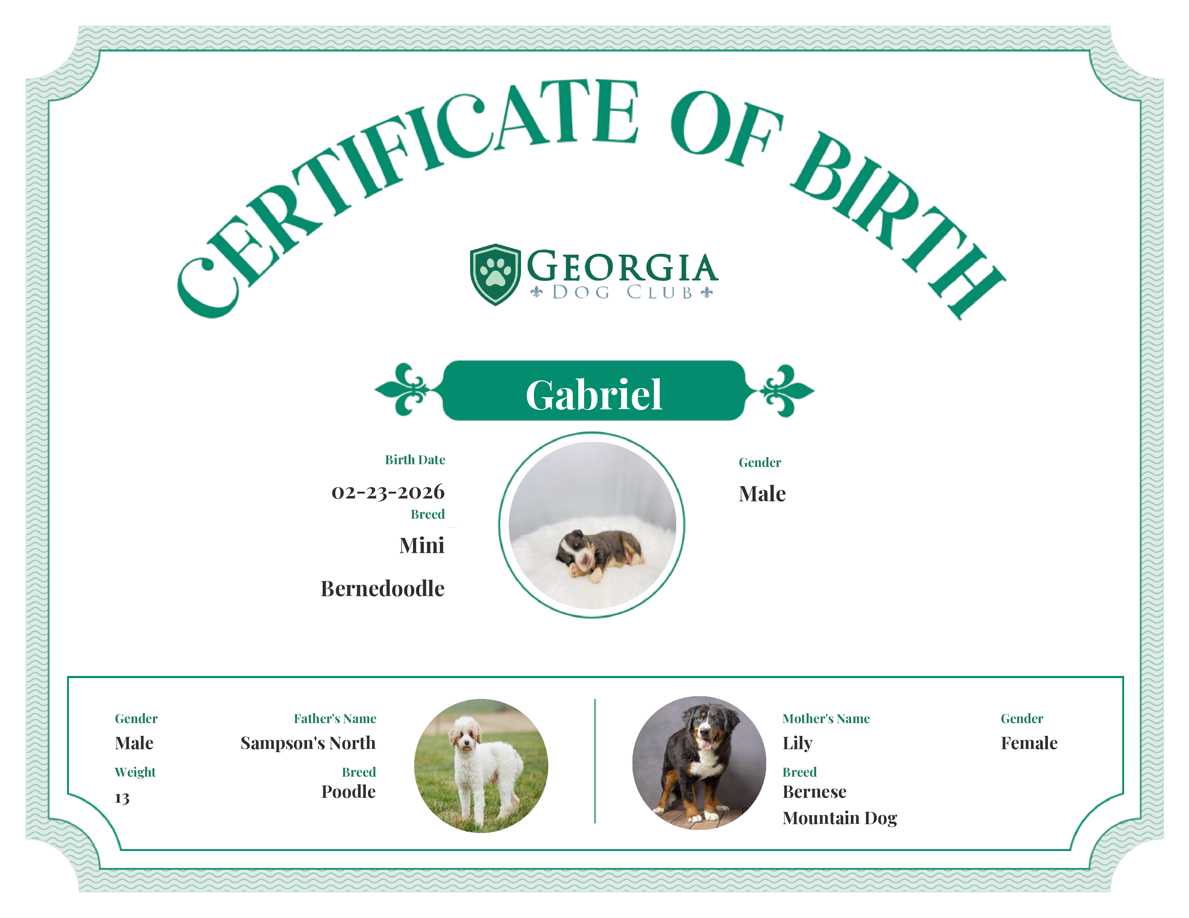 Gabriel's Birth Certificate