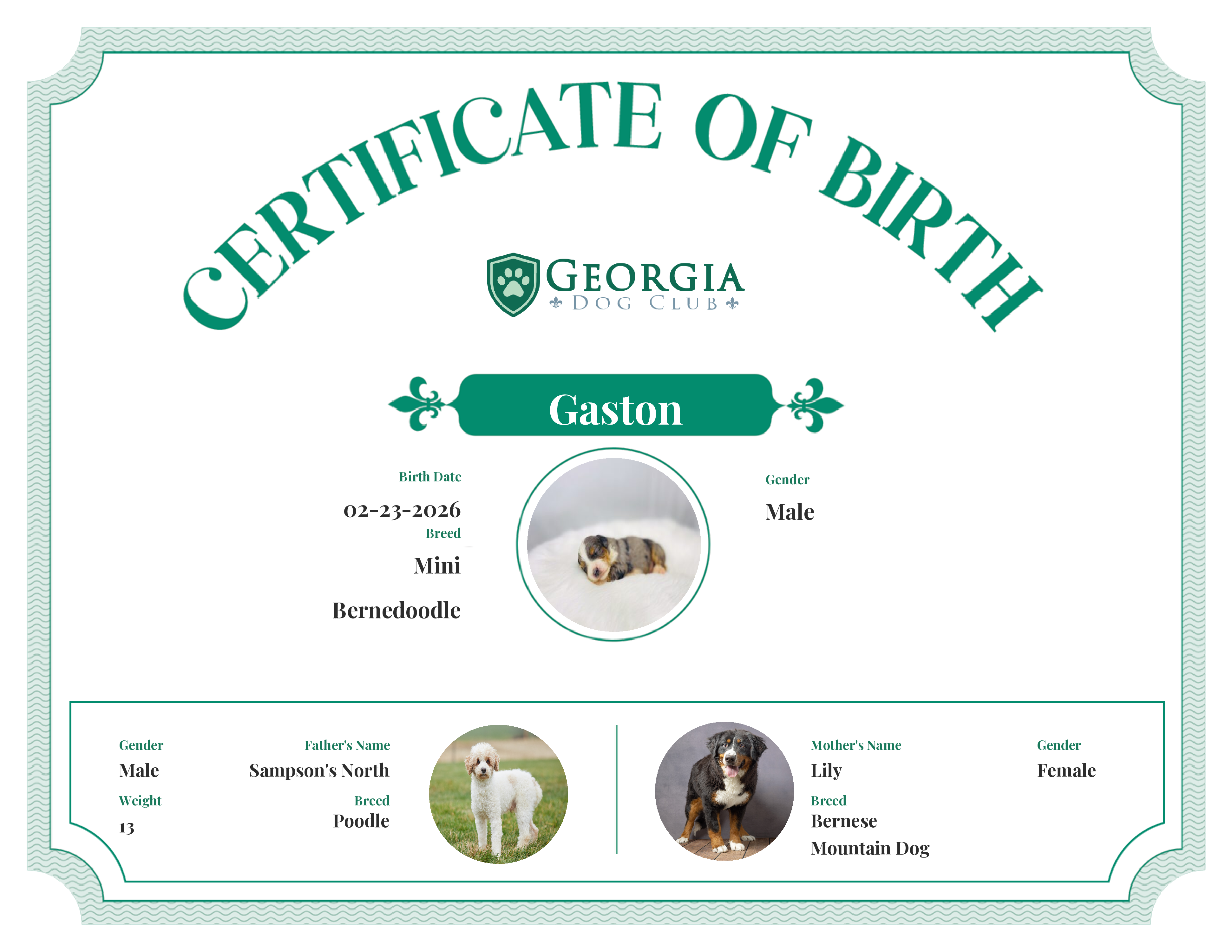 Gaston's Birth Certificate