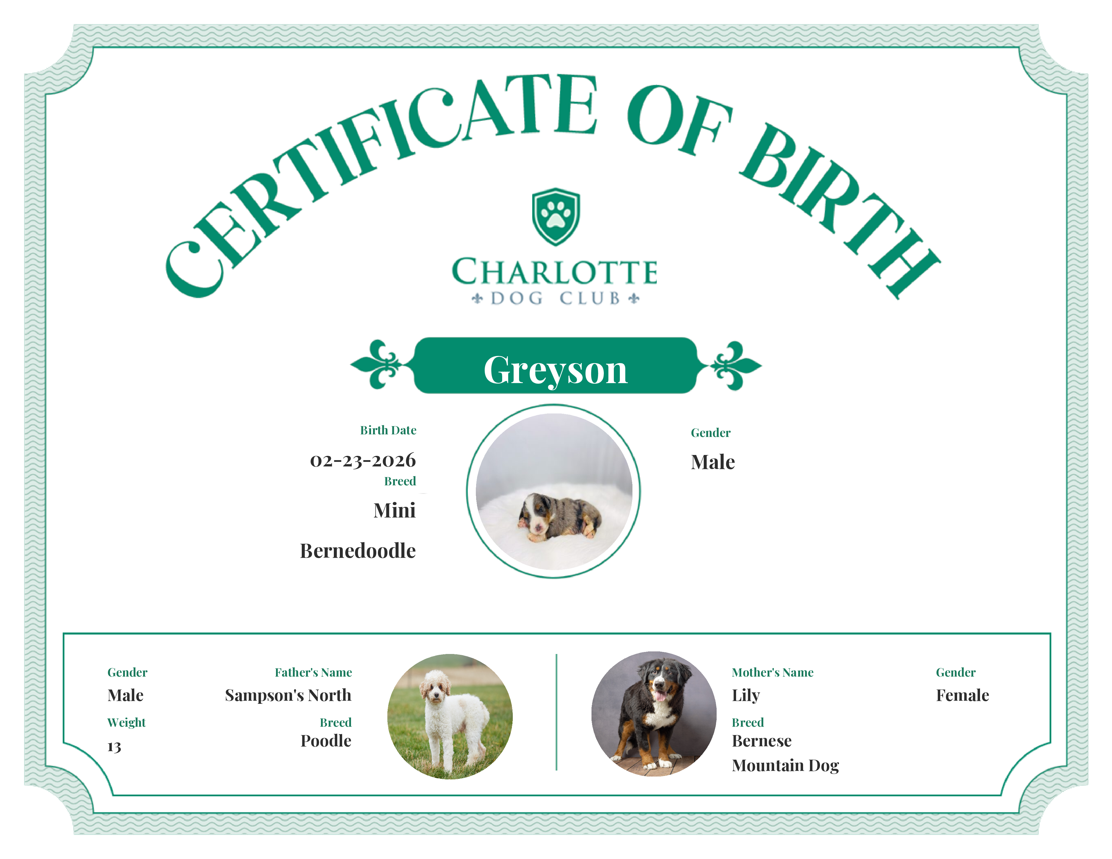 Greyson's Birth Certificate