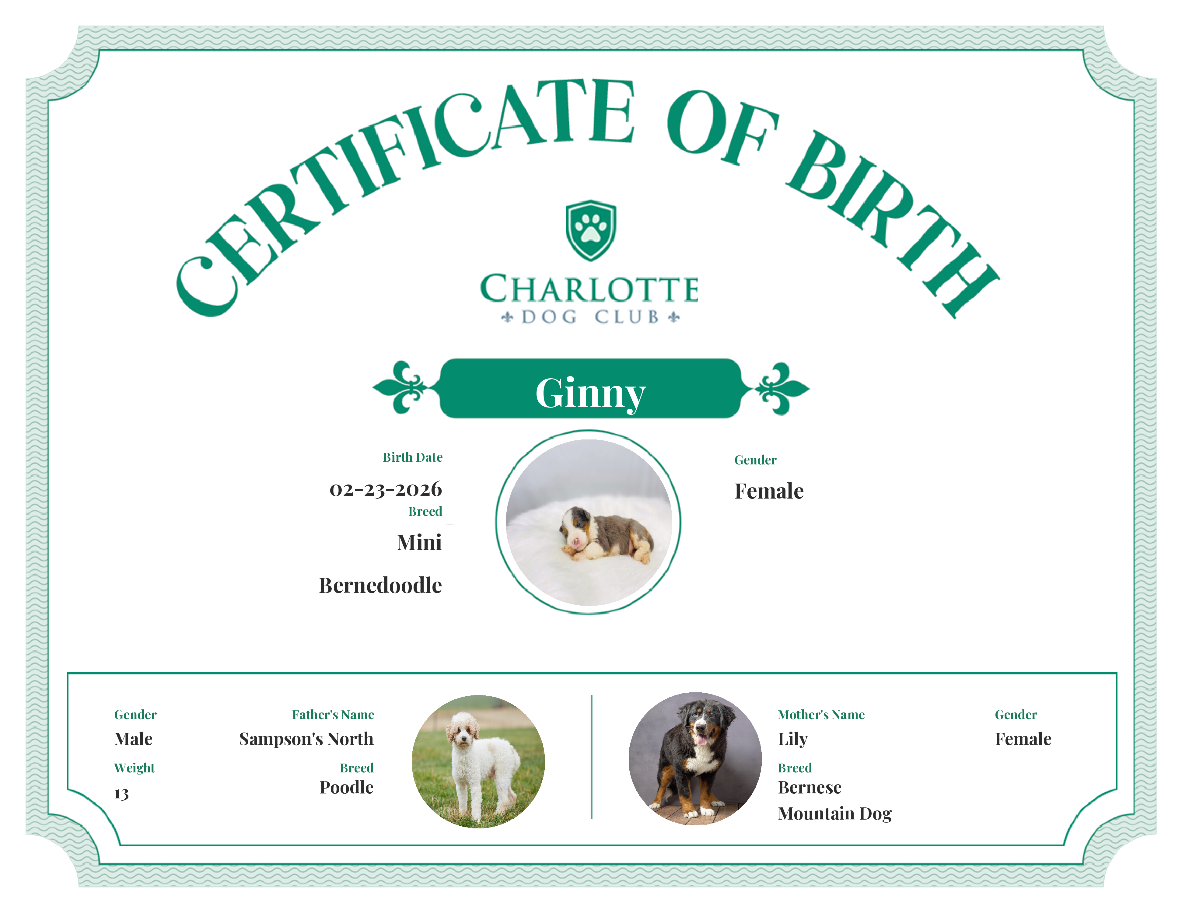 Ginny's Birth Certificate