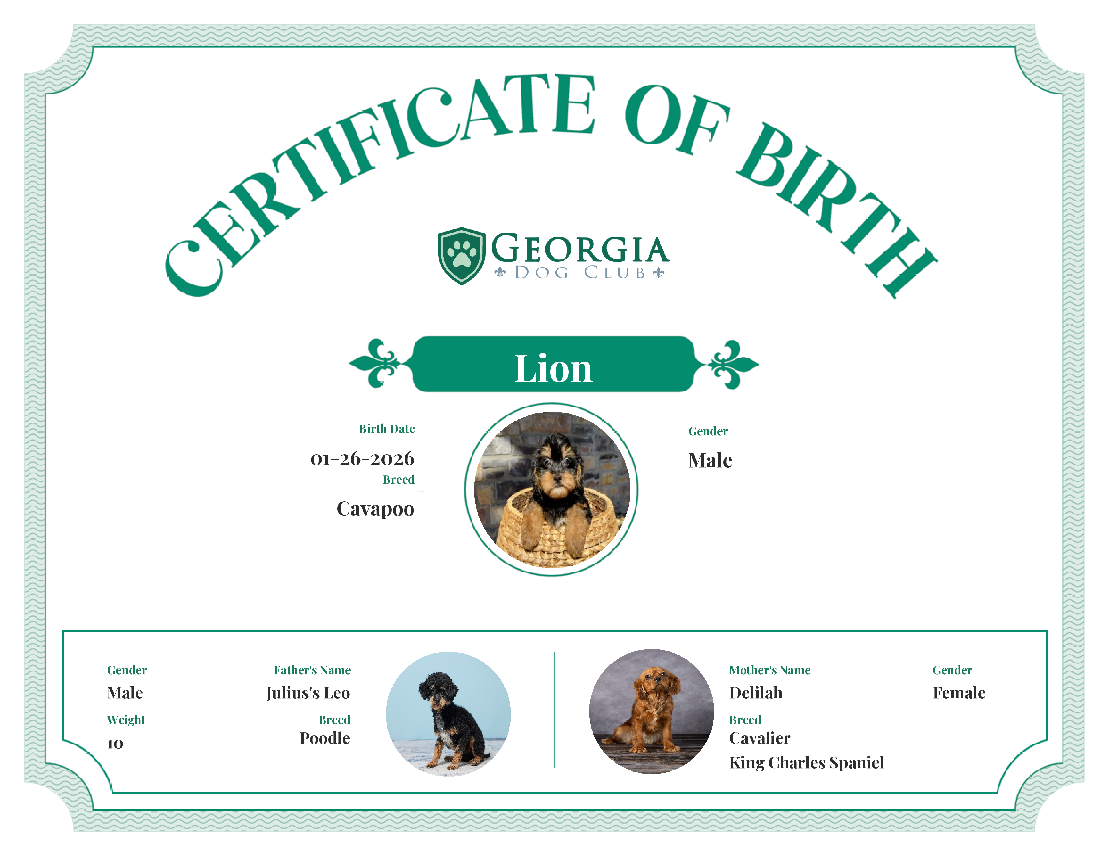 Lion's Birth Certificate