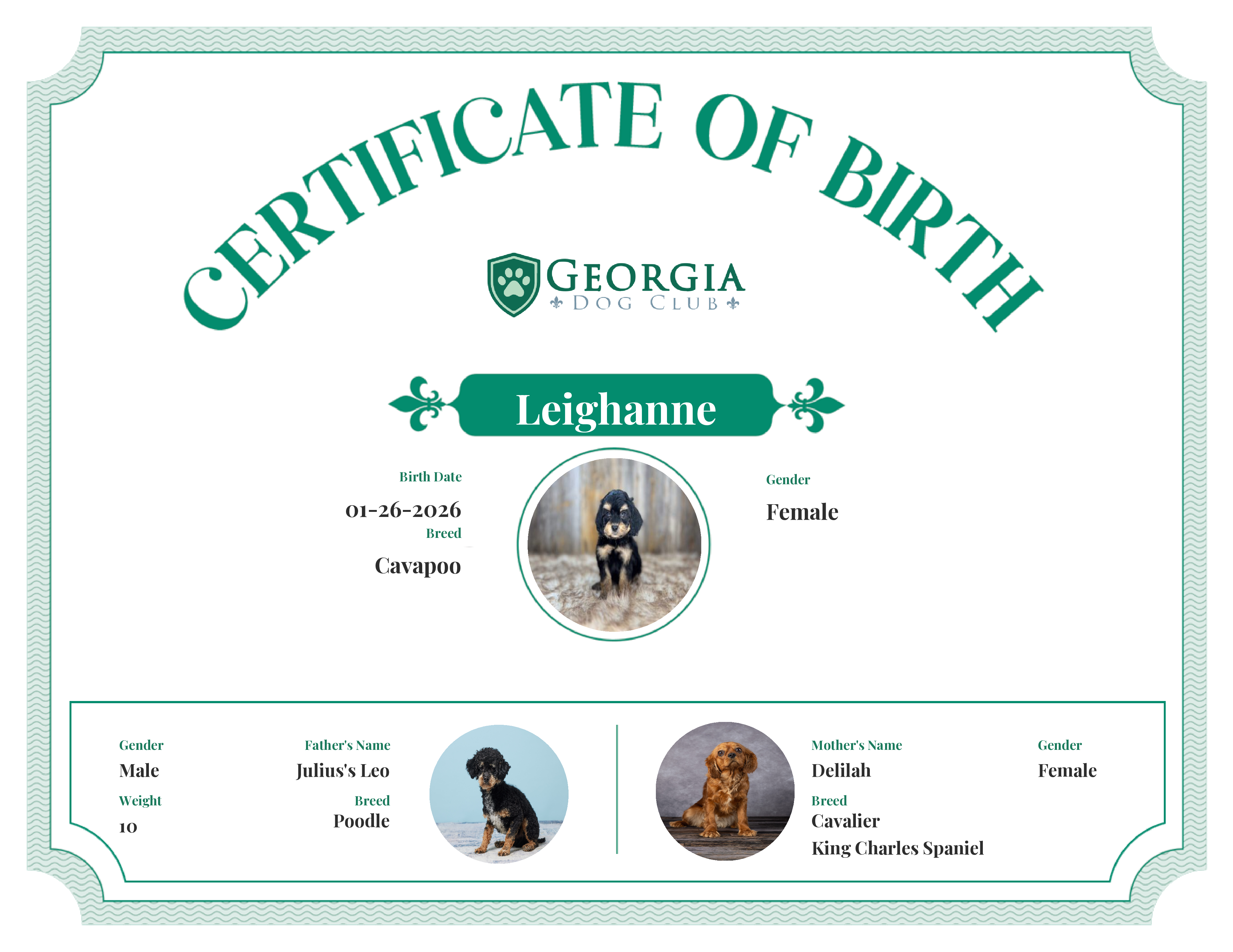 Leighanne's Birth Certificate