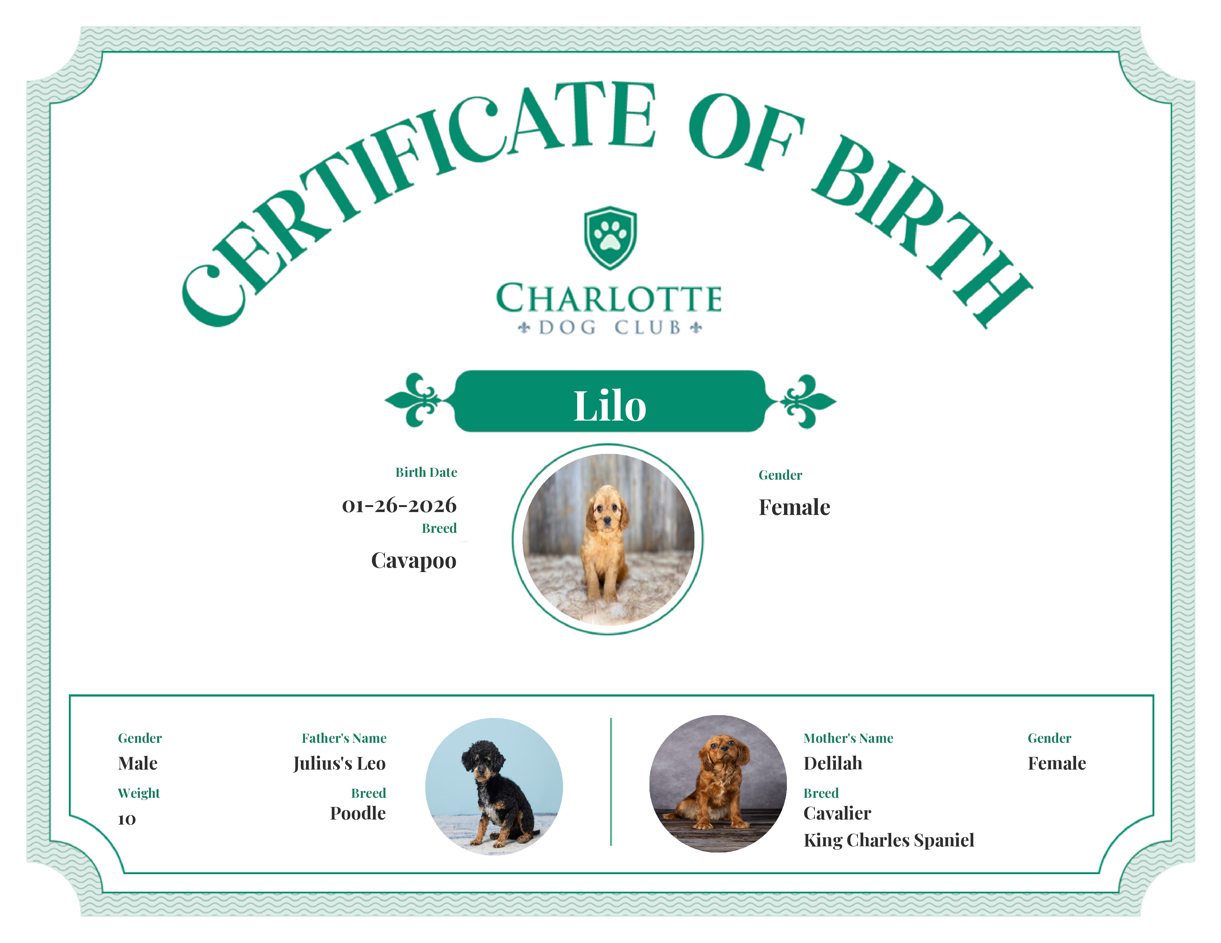 Lilo's Birth Certificate