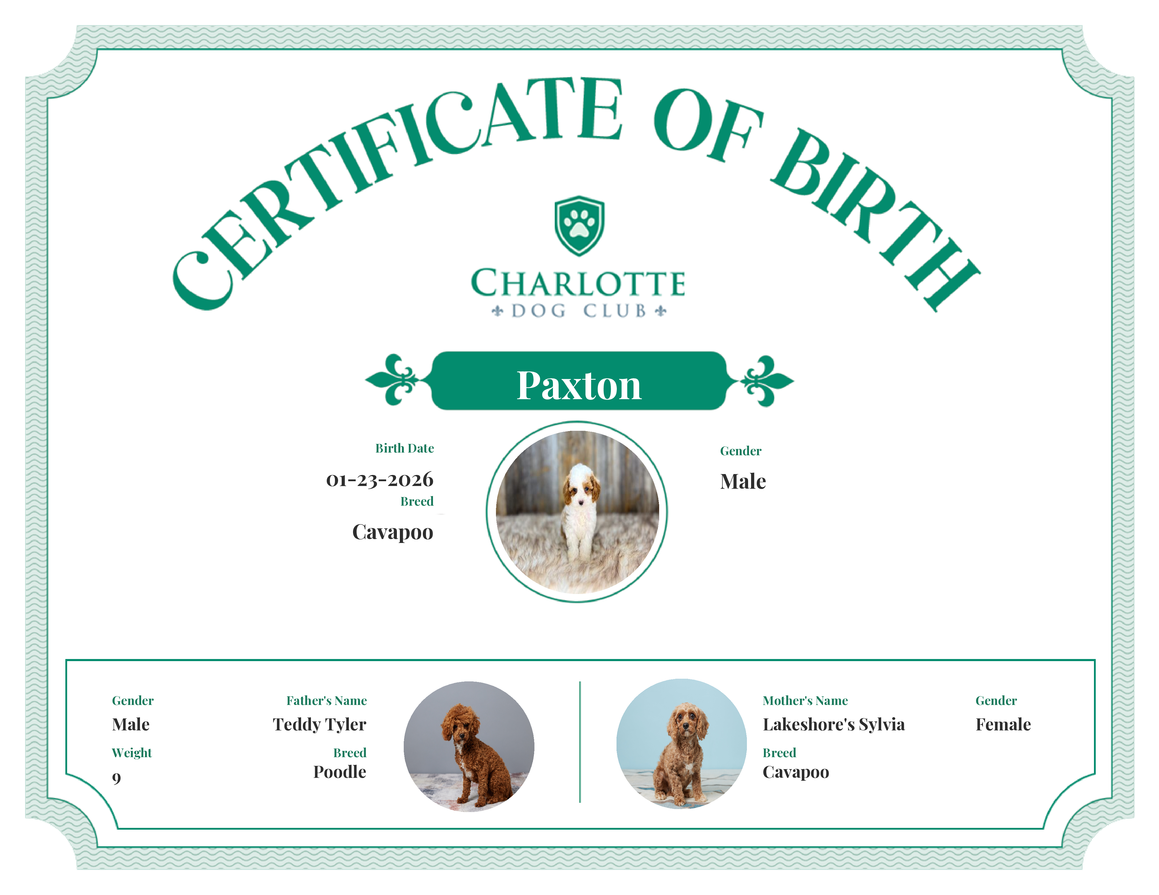 Paxton's Birth Certificate