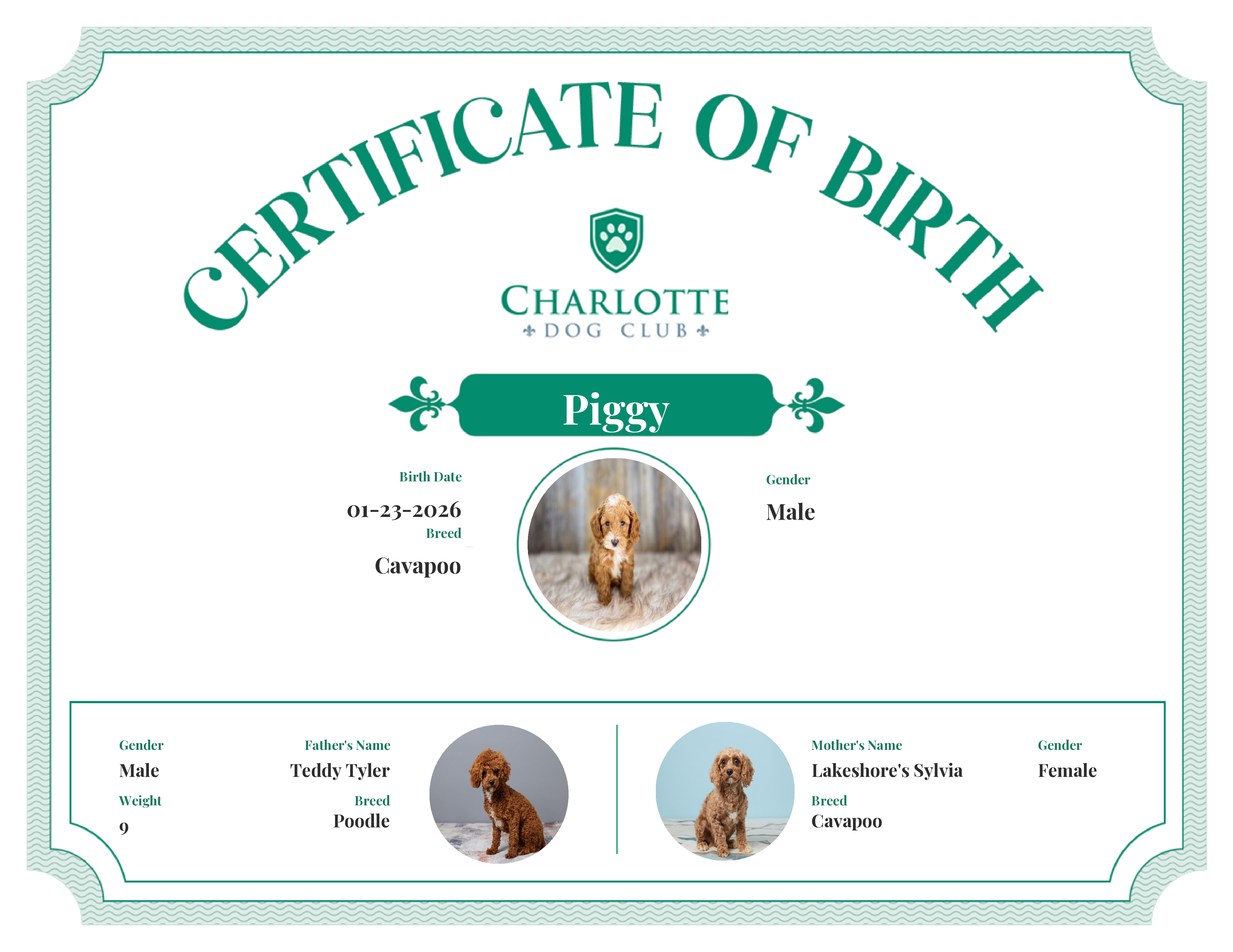 Piggy's Birth Certificate