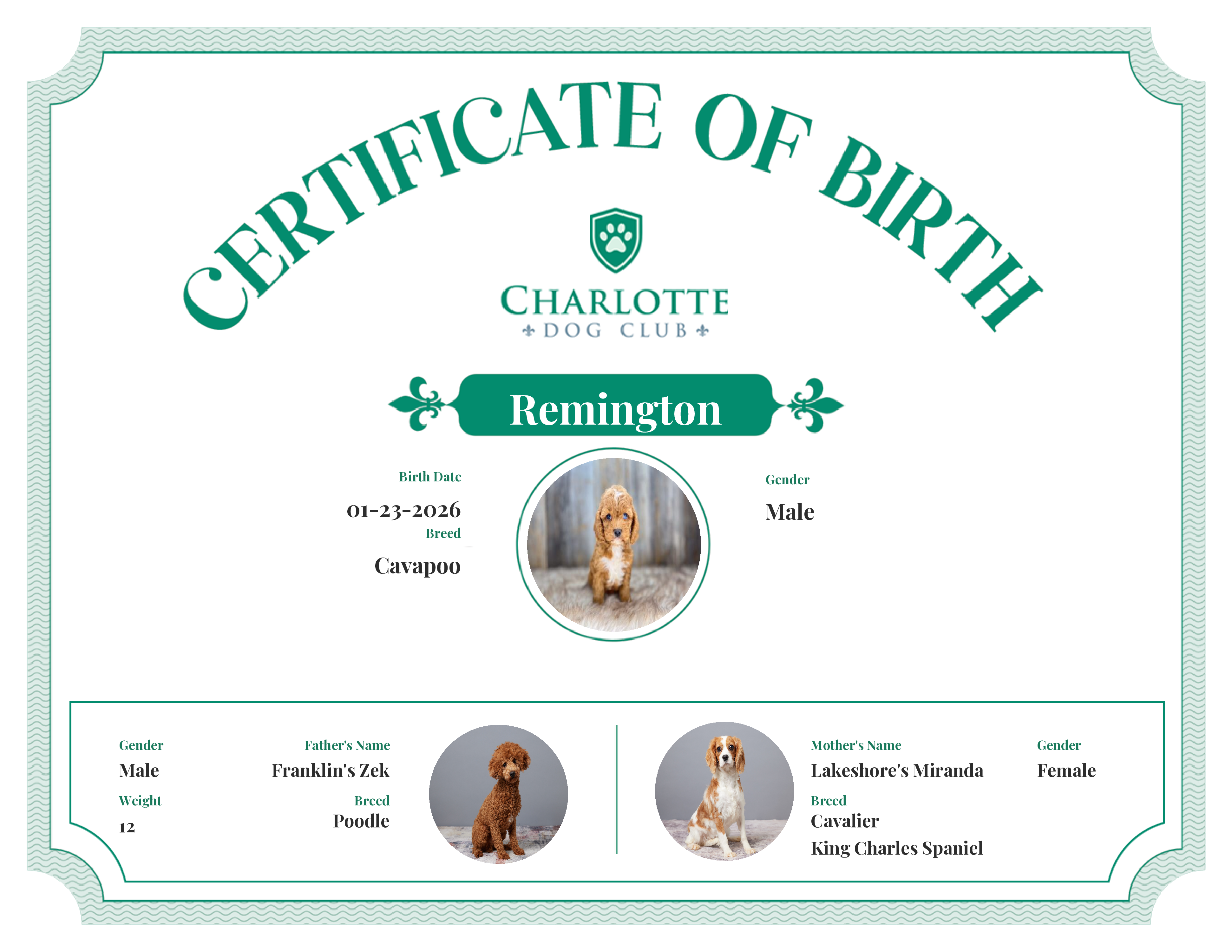 Remington's Birth Certificate