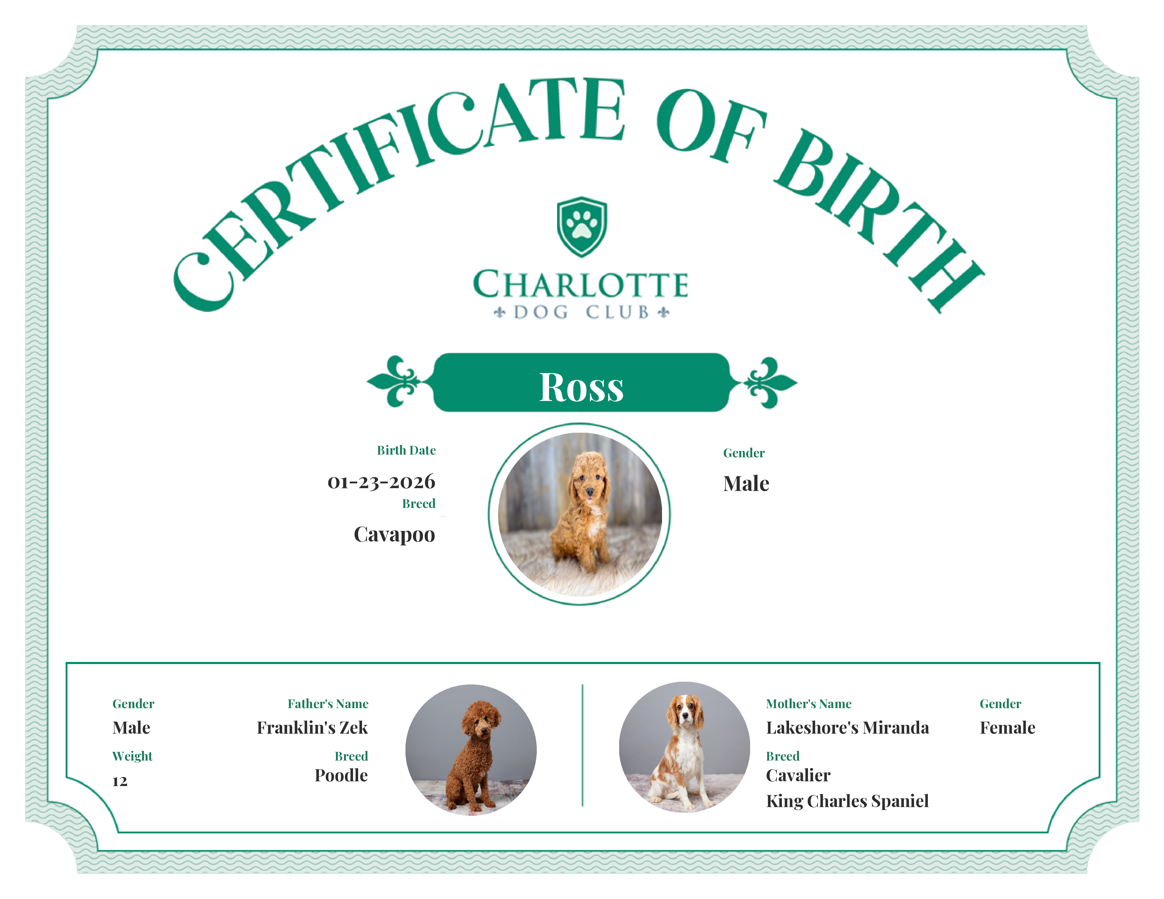 Ross's Birth Certificate