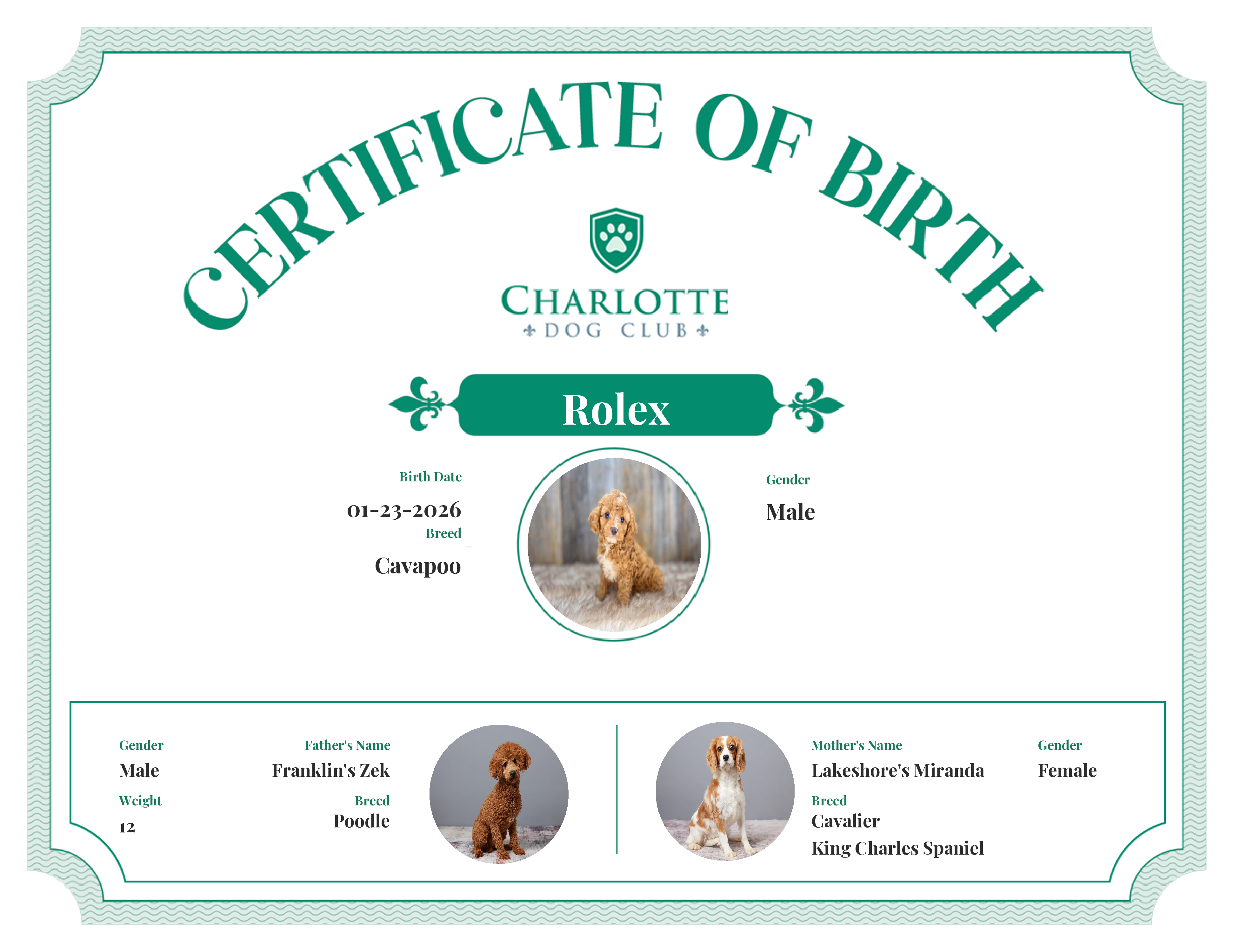 Rolex's Birth Certificate