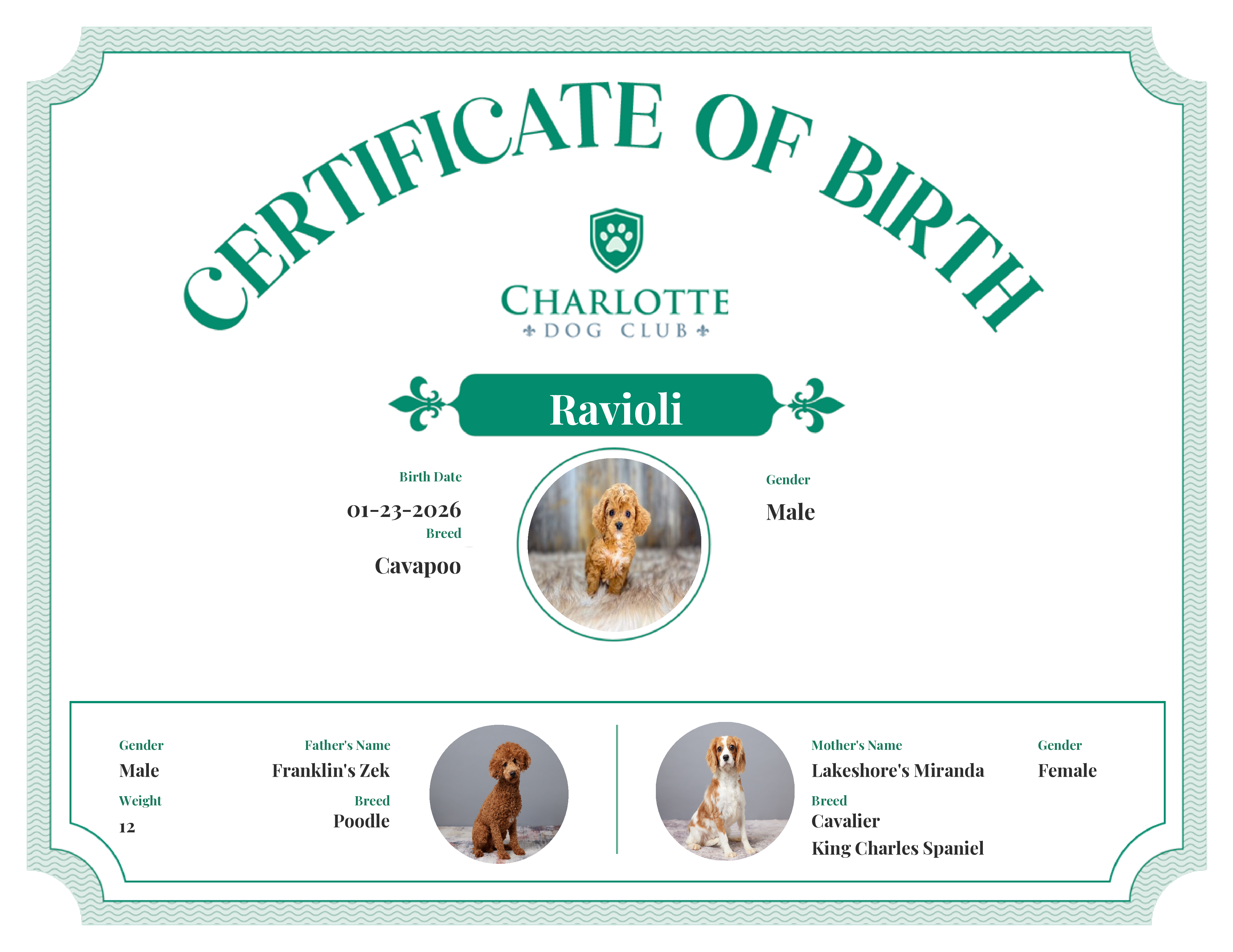 Ravioli's Birth Certificate