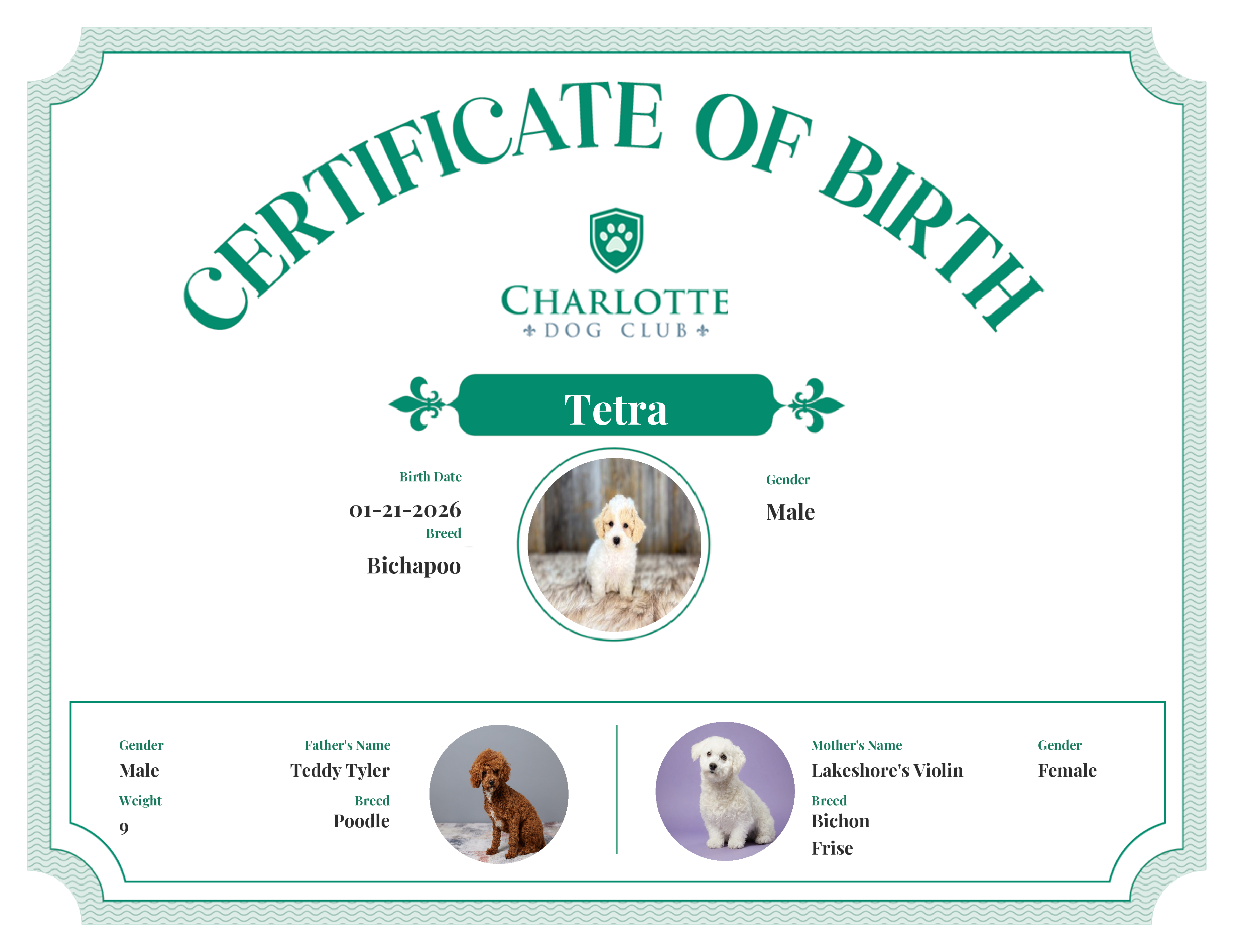 Tetra's Birth Certificate